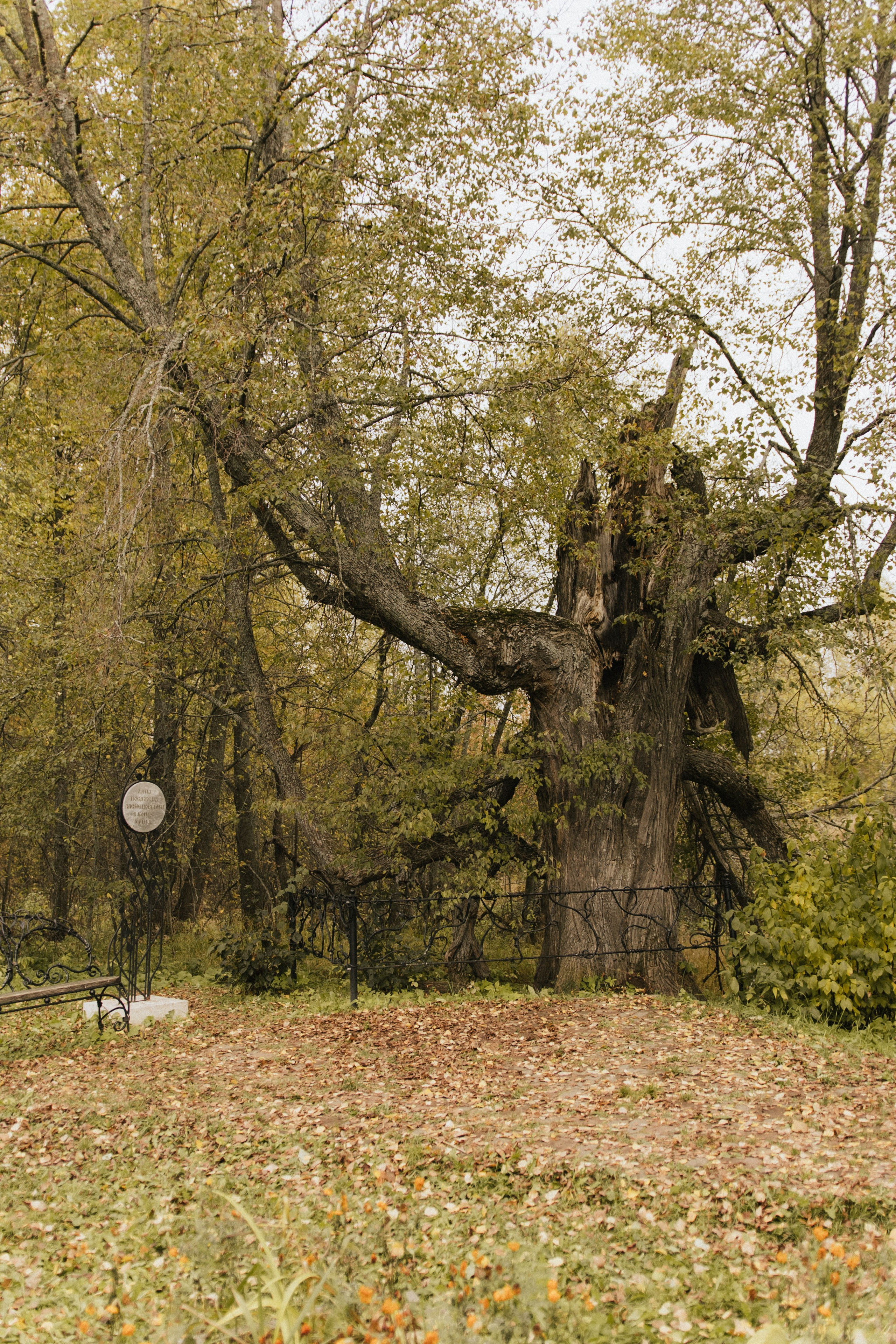 Поездка в Ошеть. Фотограф в Кирове и Кирово-Чепецке Валерия Шиляева