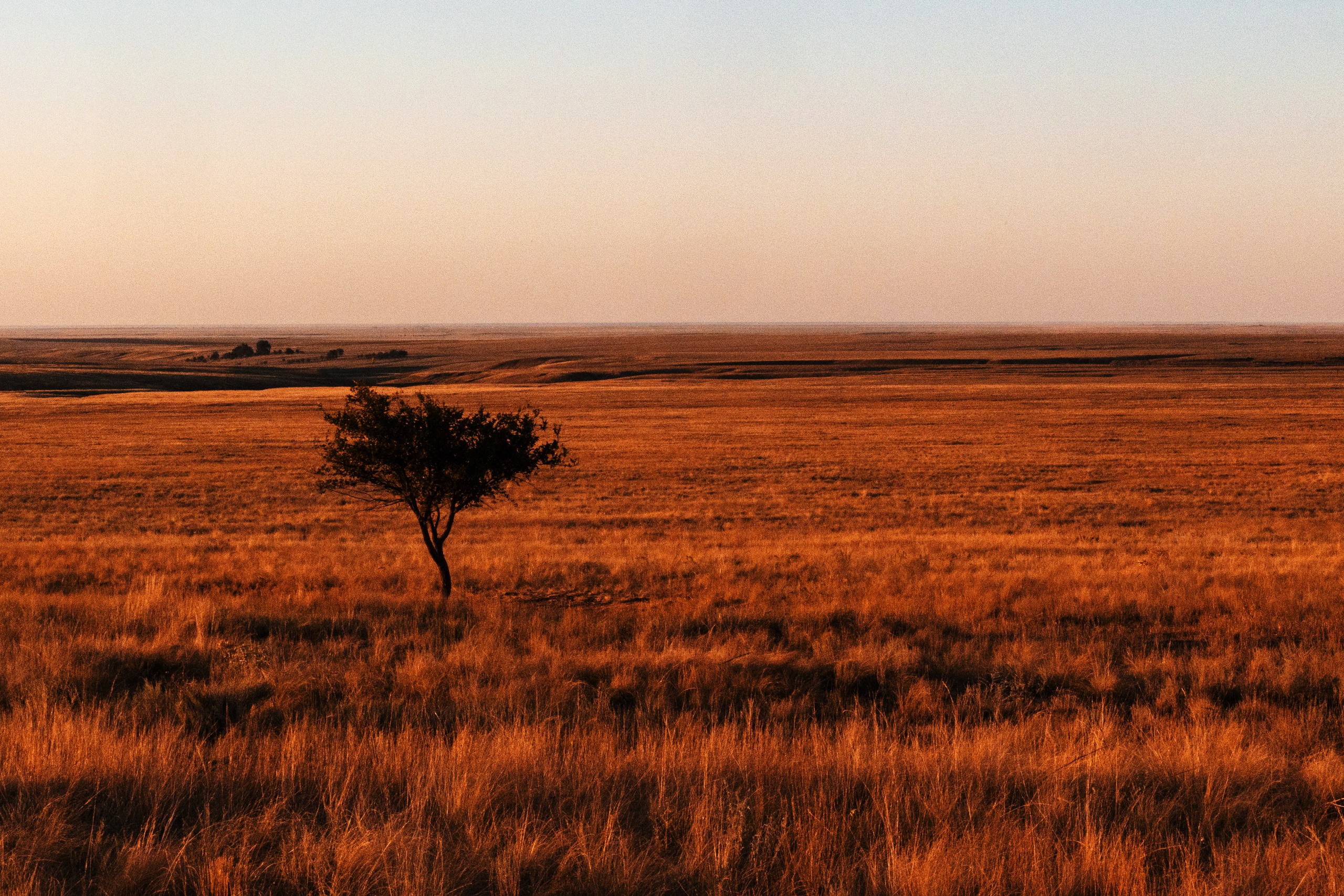 Природа. Фотограф Владимир Охрименко
