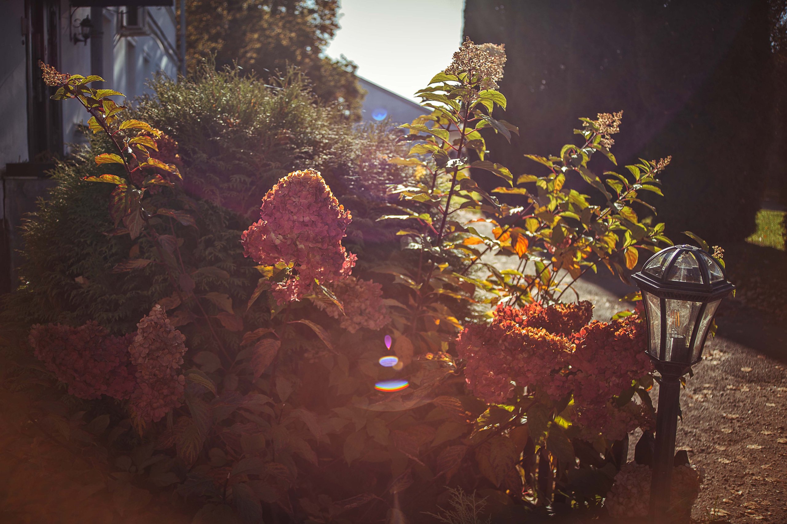 Псков. Семейный и детский фотограф в Москве Ольга Кривенцова