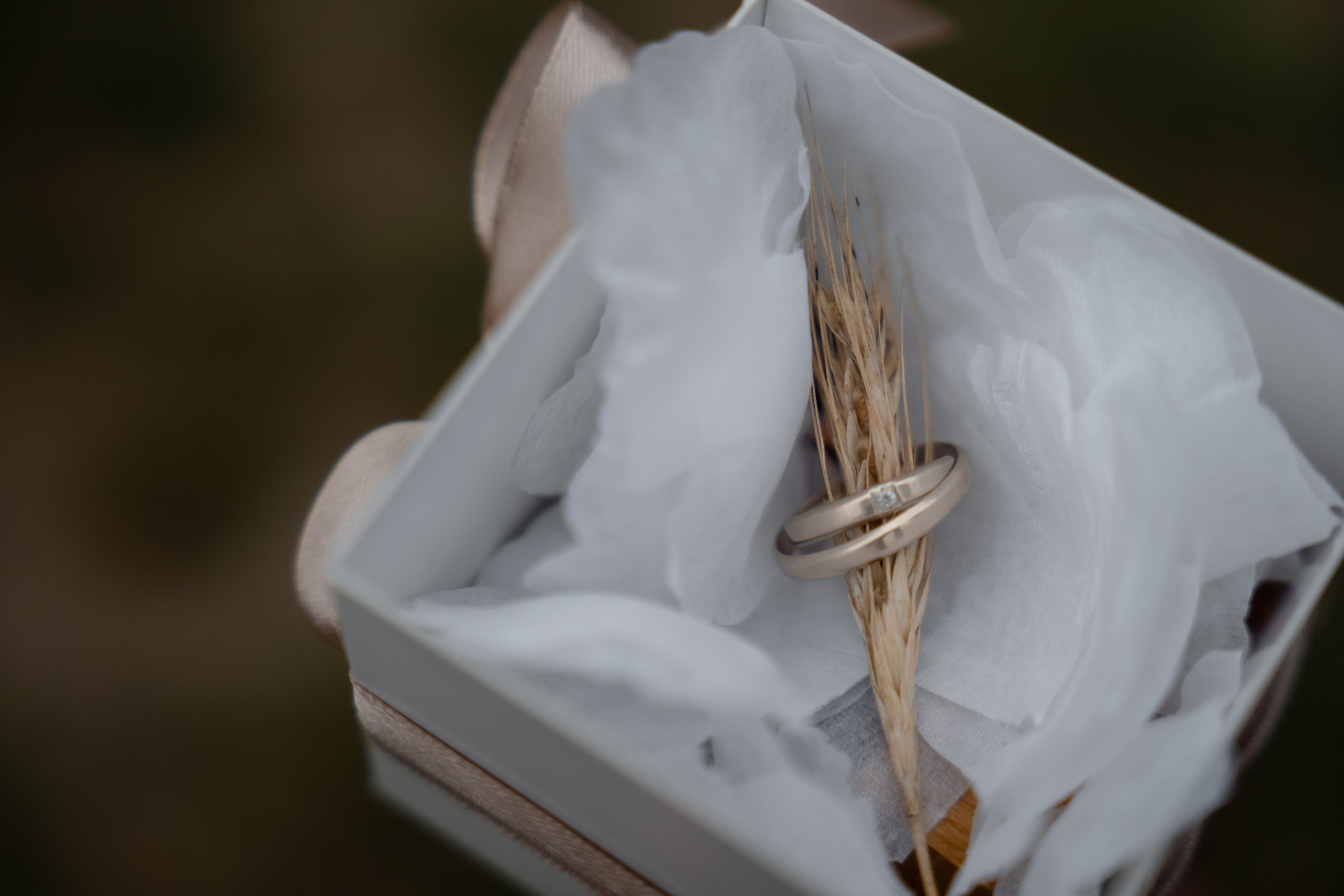 Свадебная вечеринка. Свадебный и семейный фотограф | Слоним, Гродно| Варя Режа́бек