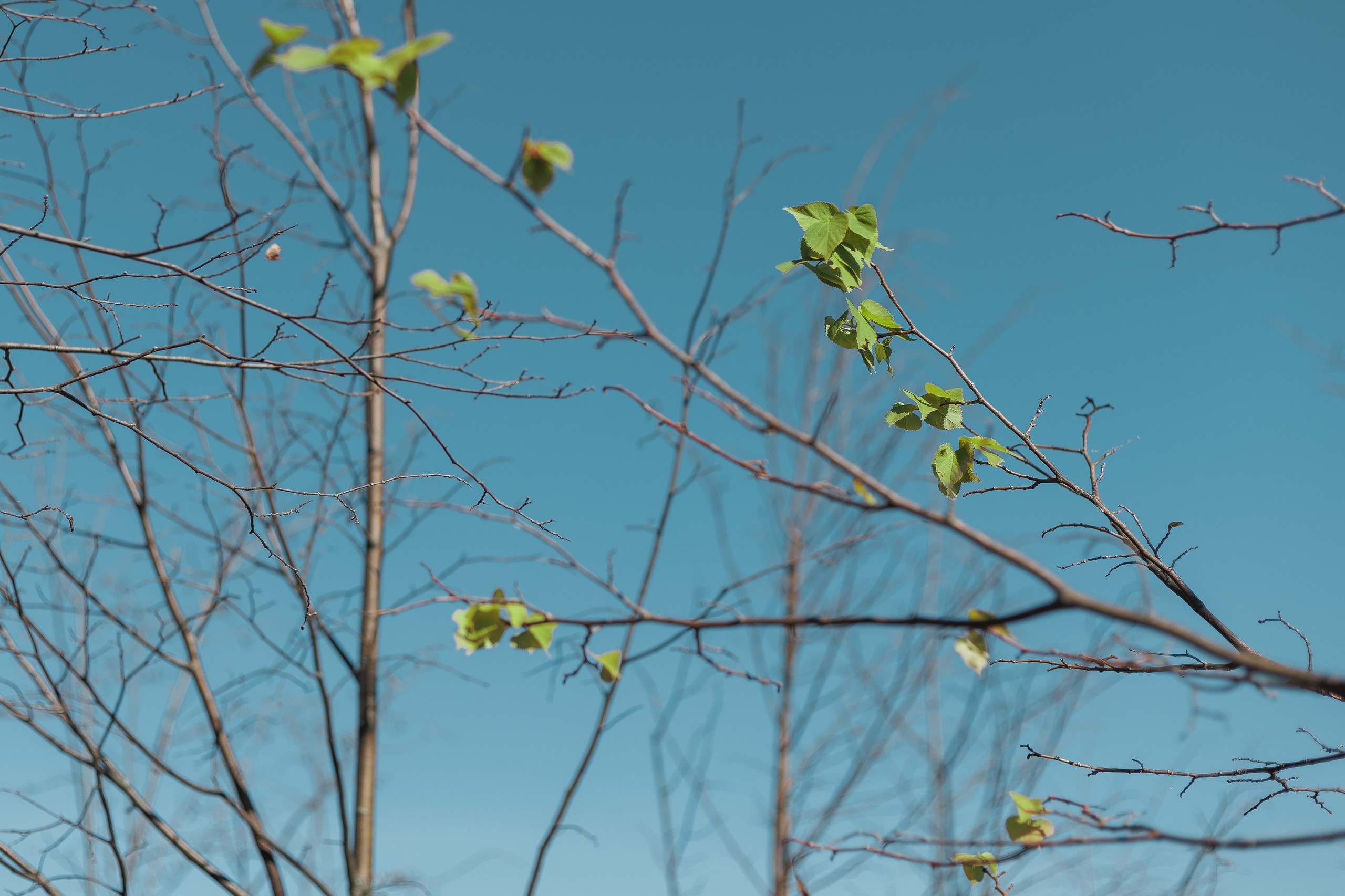 Съемка перформанса. Ксю Галиасфарова — Фотограф Казань