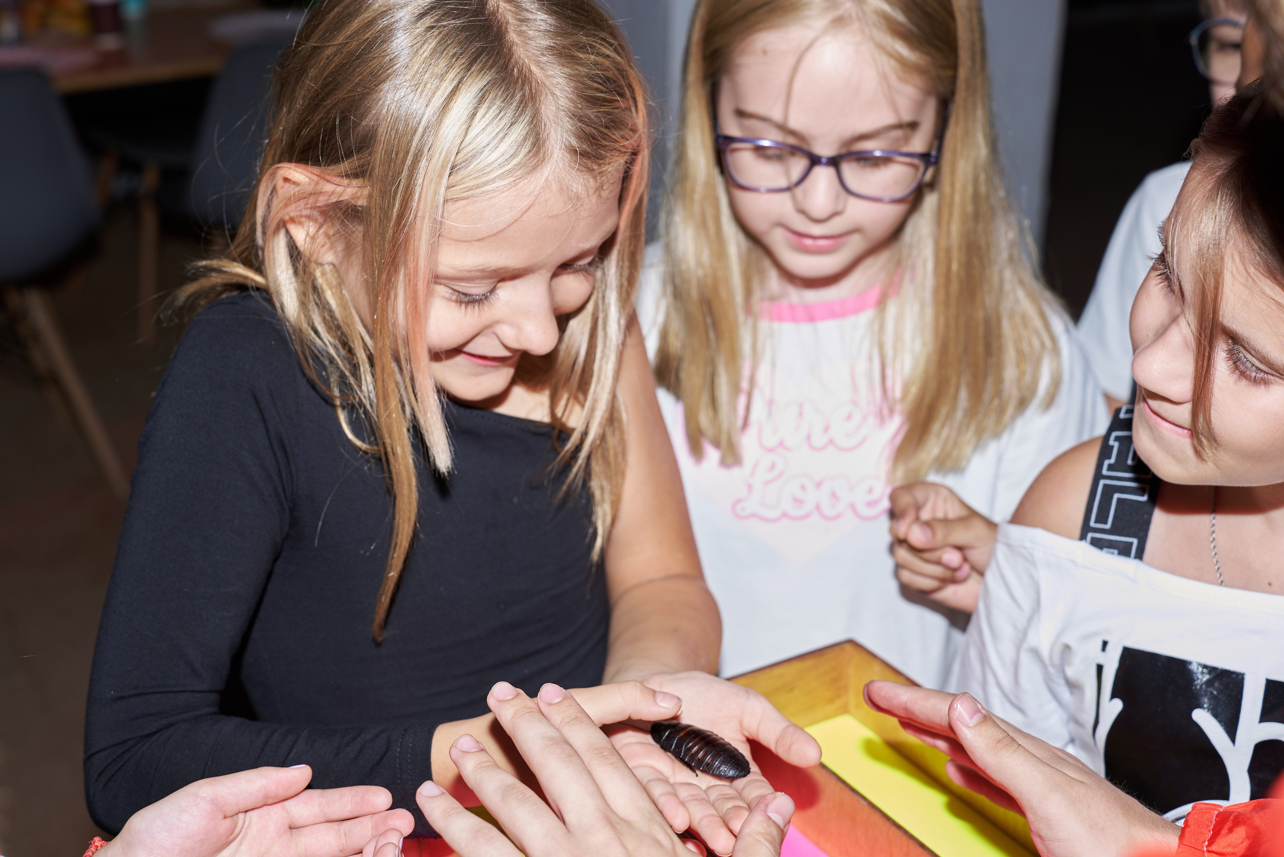 Репортаж. Фотограф Потапчук Алёна (Ростов-на-Дону)