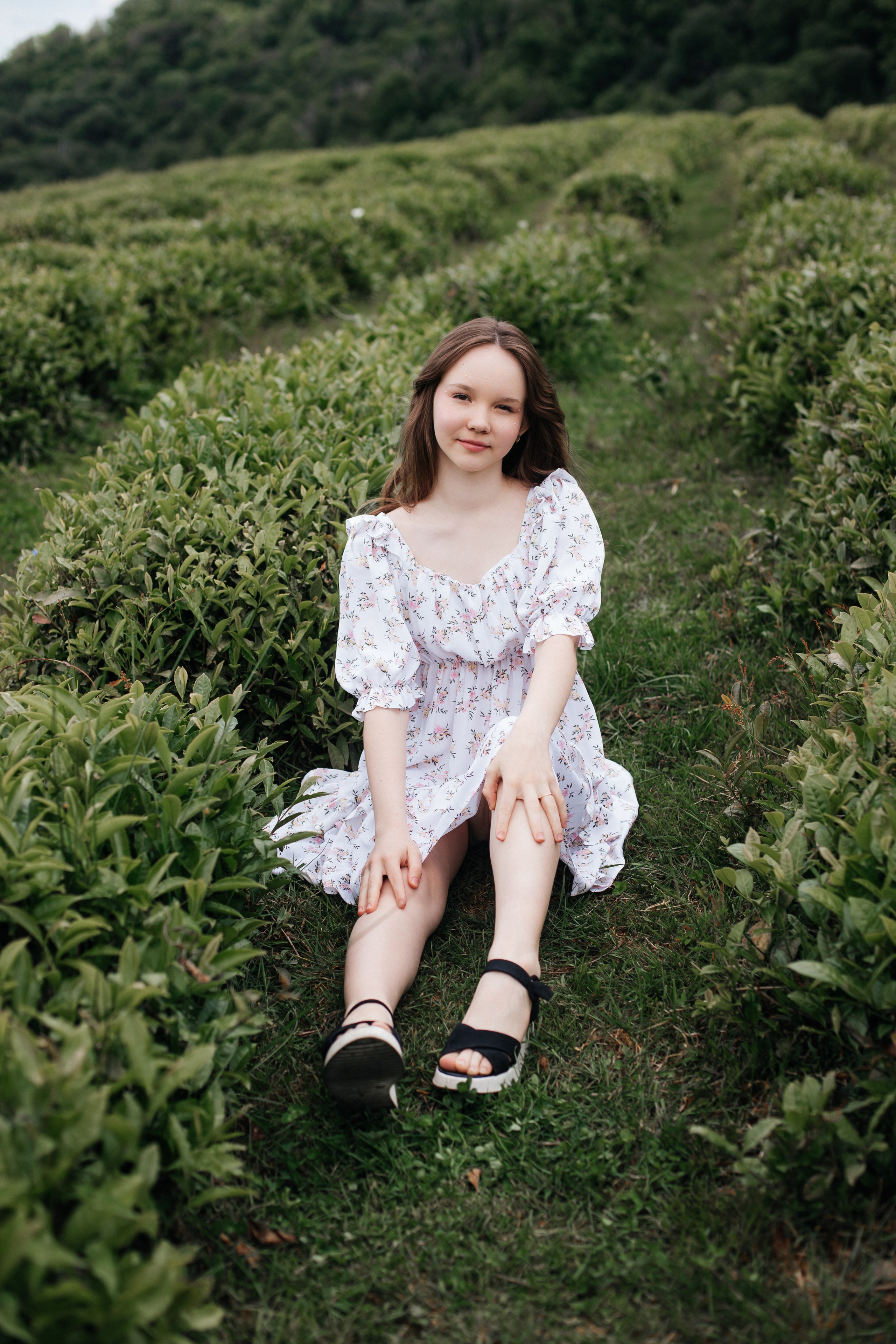 Tea plantation. Efimova Model Agency