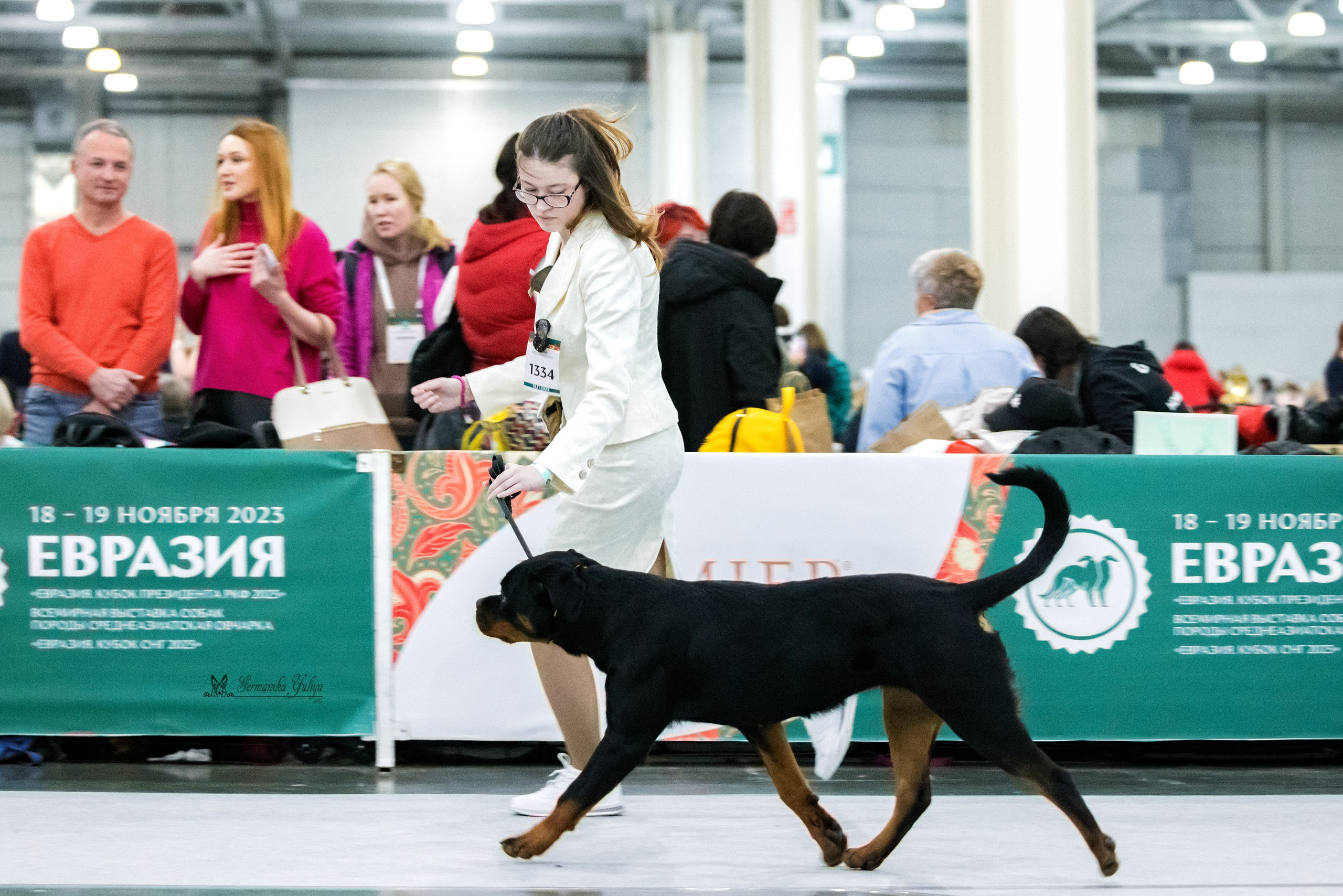 ЕВРАЗИЯ 18-19.11.2023. Фотограф-анималист Юлия Германика