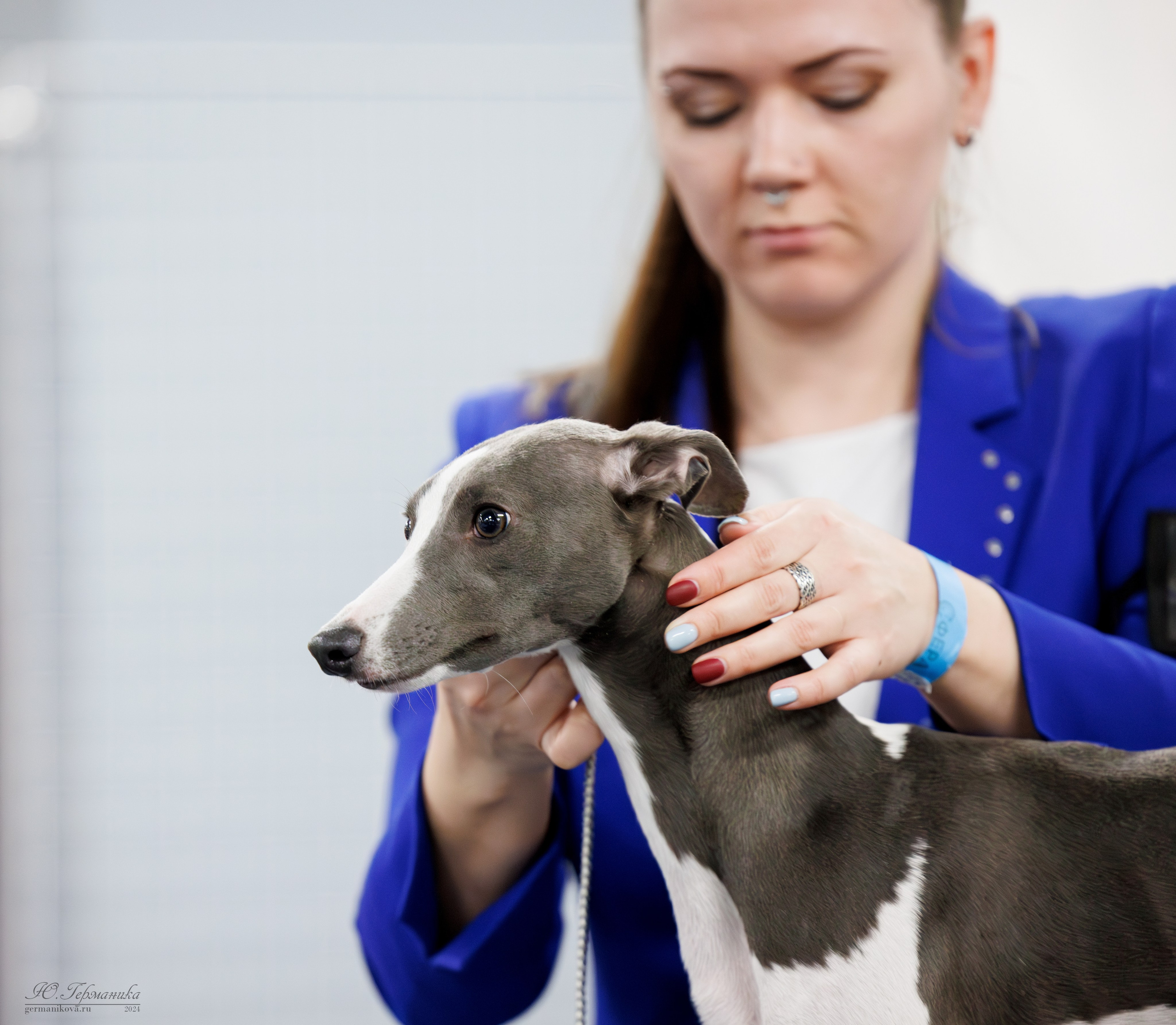 Сфера и Крокус 8,9,16 и 30.03.2025. Фотограф-анималист Юлия Германика