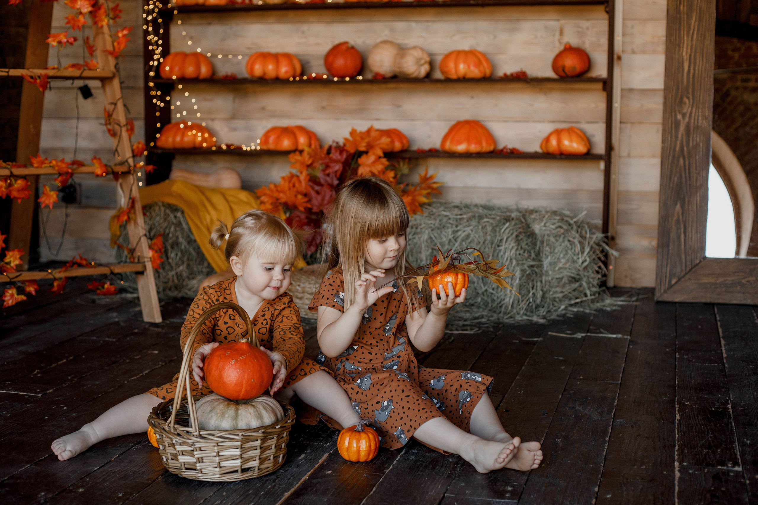 Отзывы. Свадебный фотограф Санкт-Петербург  Москва