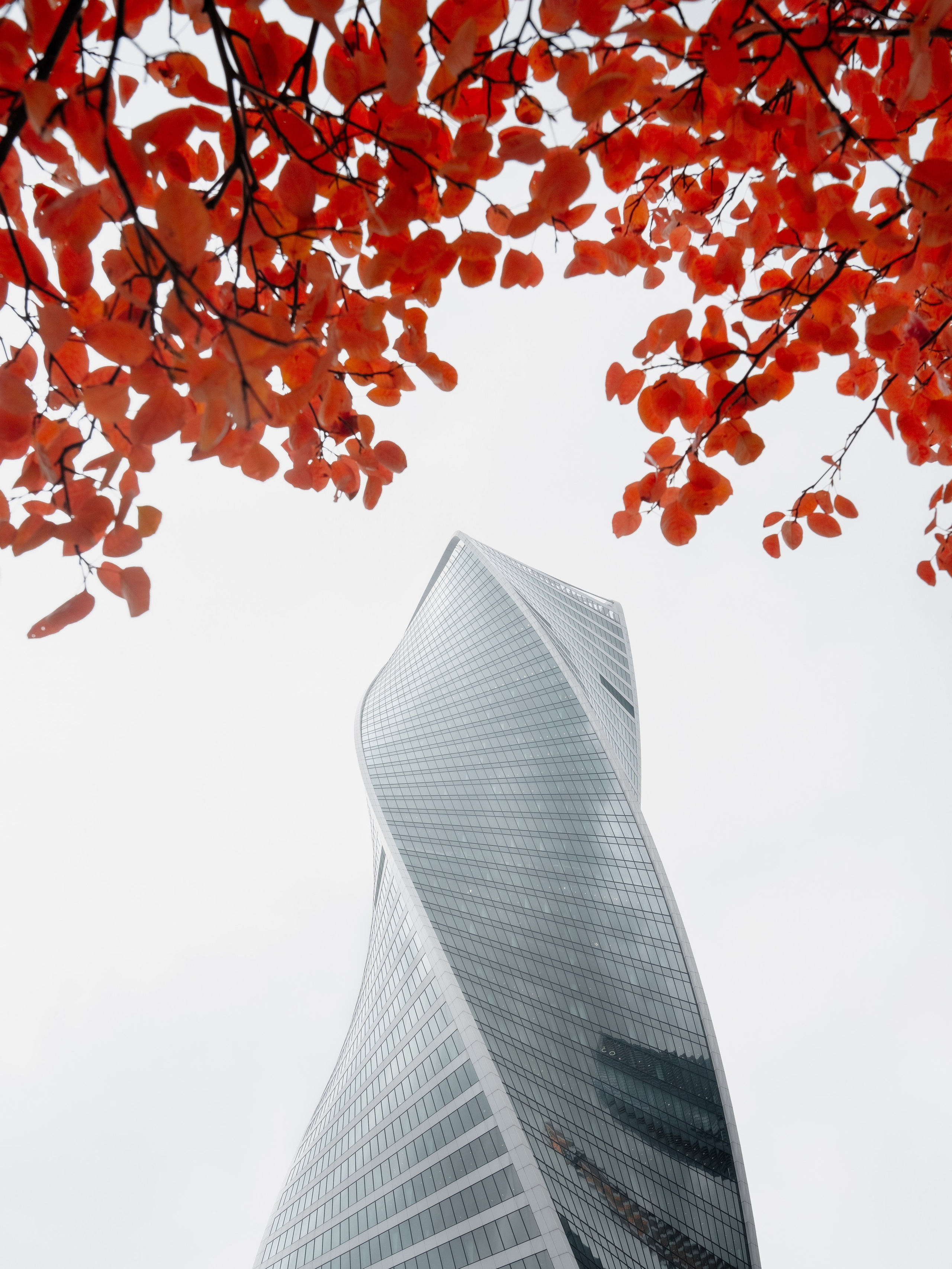 УЛИЧНАЯ ФОТОГРАФИЯ. Эд Тихонов. Городской фотограф