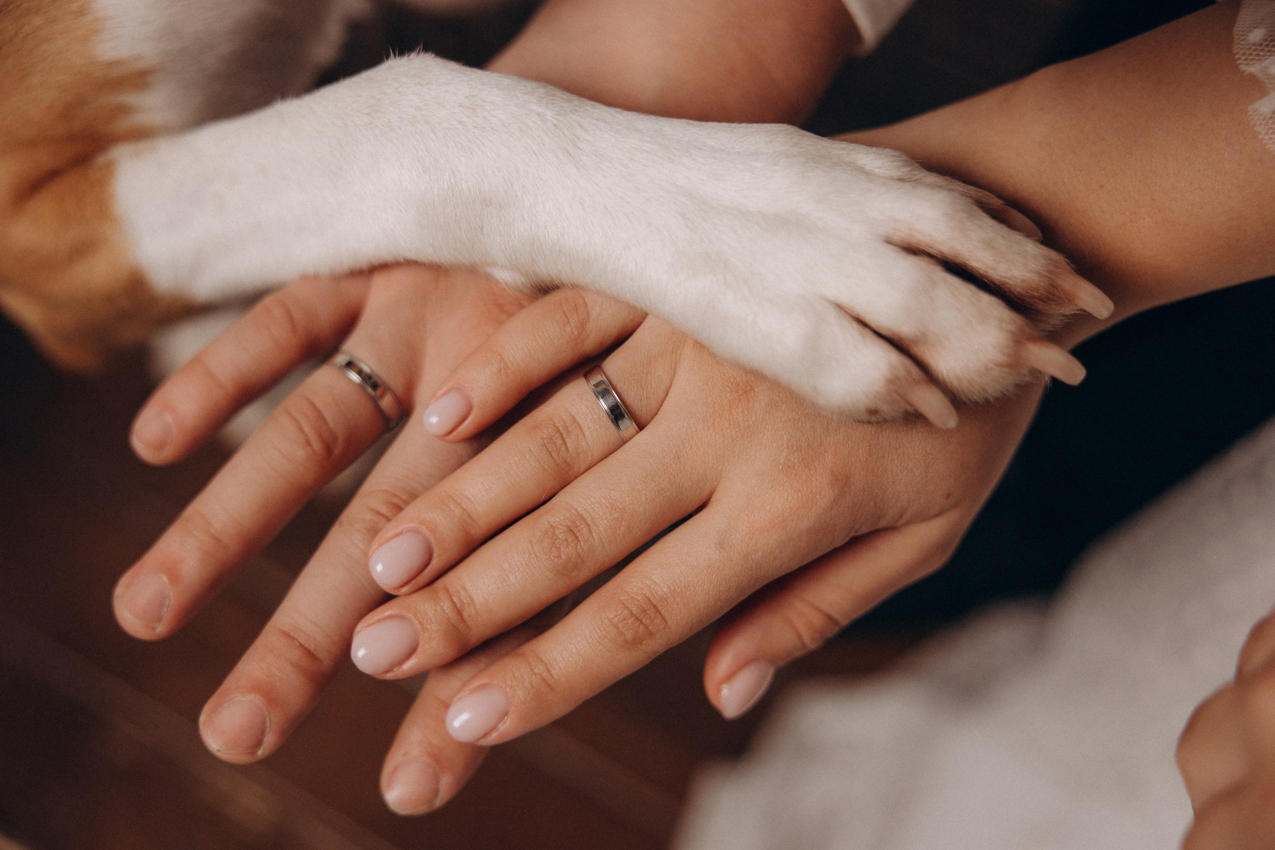 История любви. Фотограф анималист в Казани Алина Сулейманова. Фотограф животных