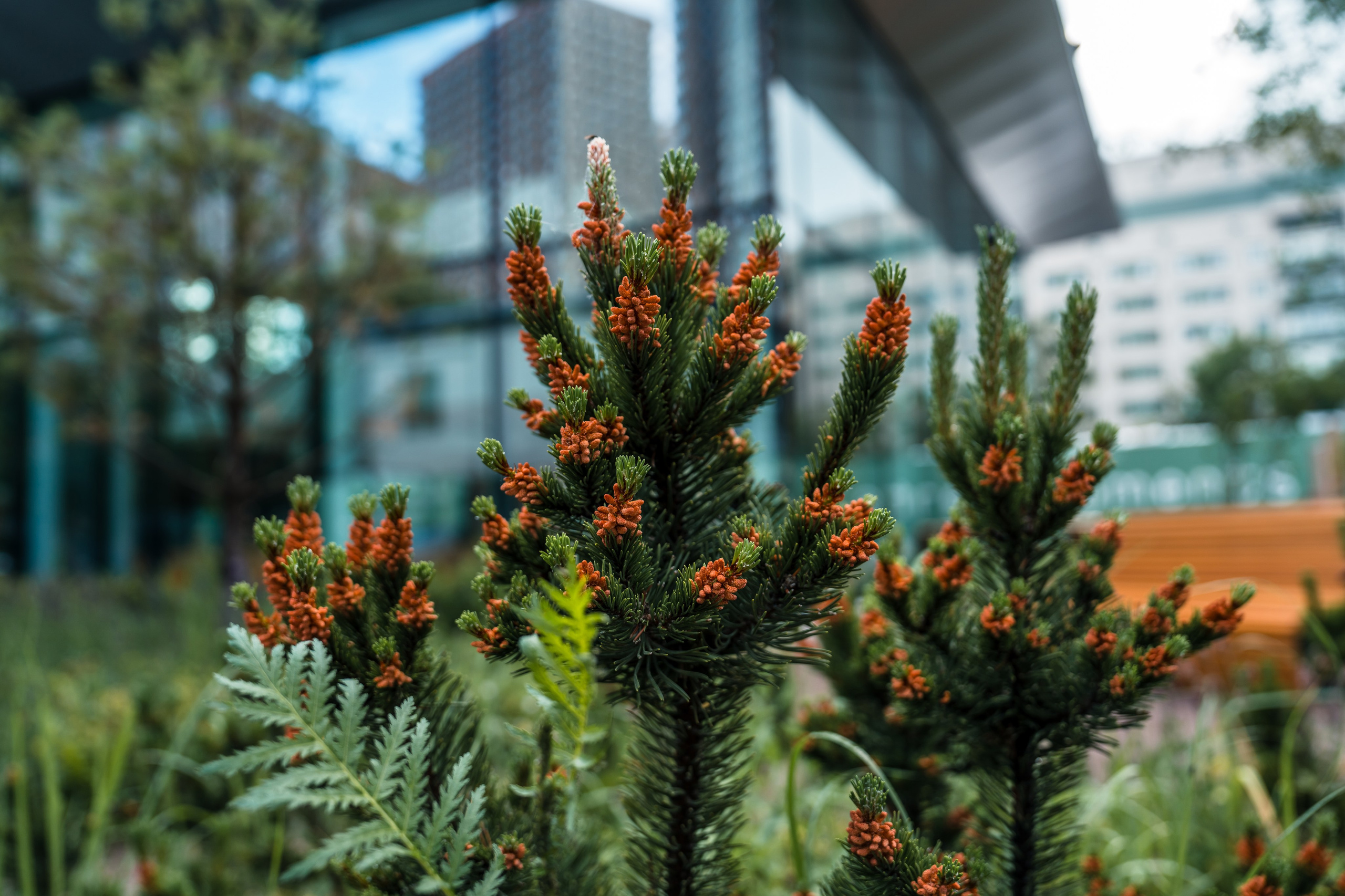 Moments, FORMA. @tomrus: Рустам Шагиморданов — фотограф