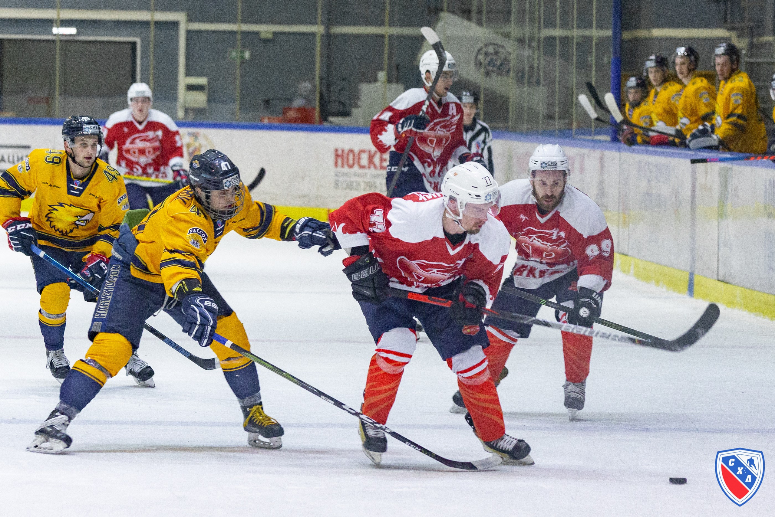 Хоккей. Фотограф Комаров Сергей