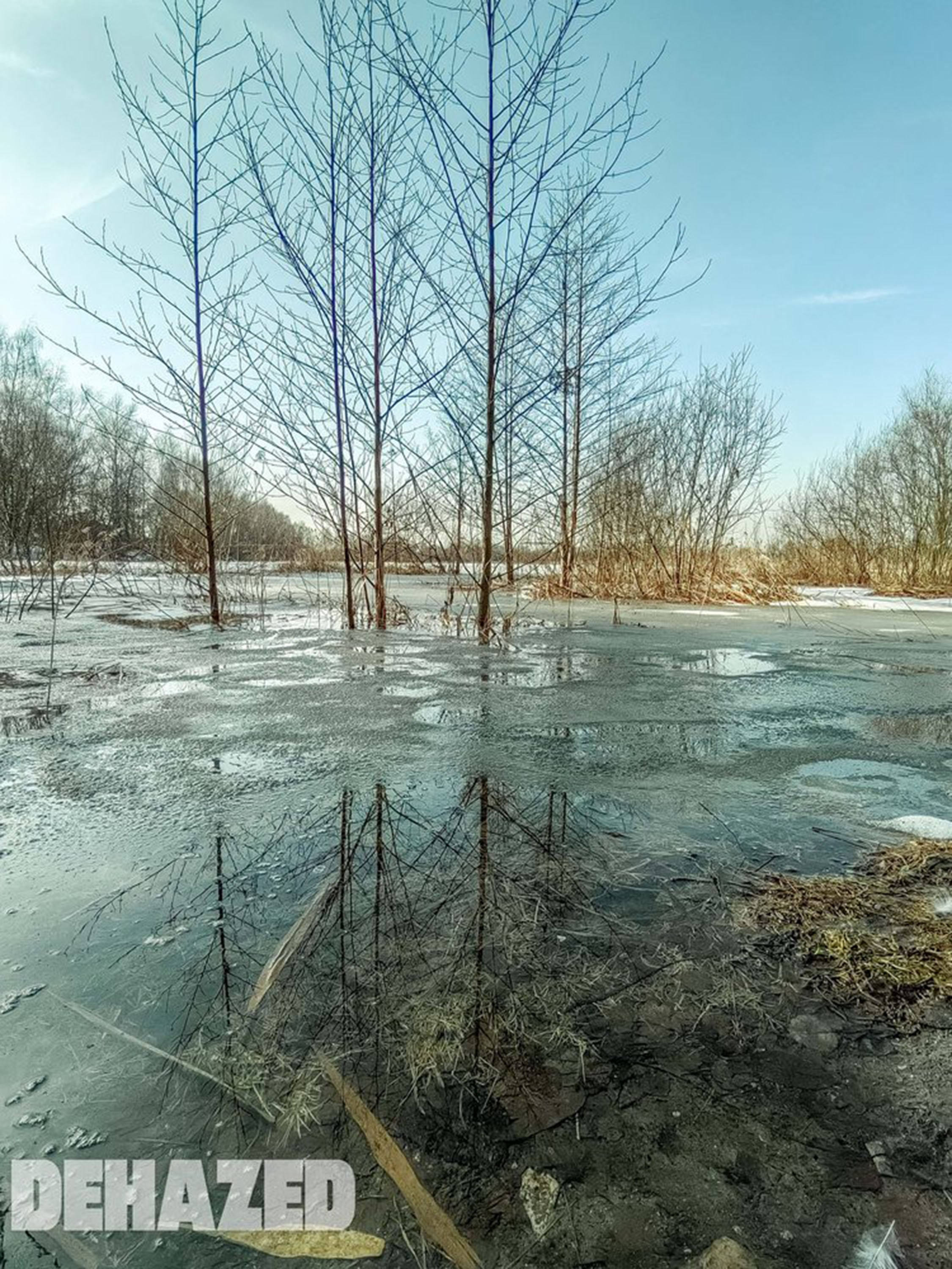 DEHAZED. Семейный и детский фотограф в Москве Ольга Кривенцова