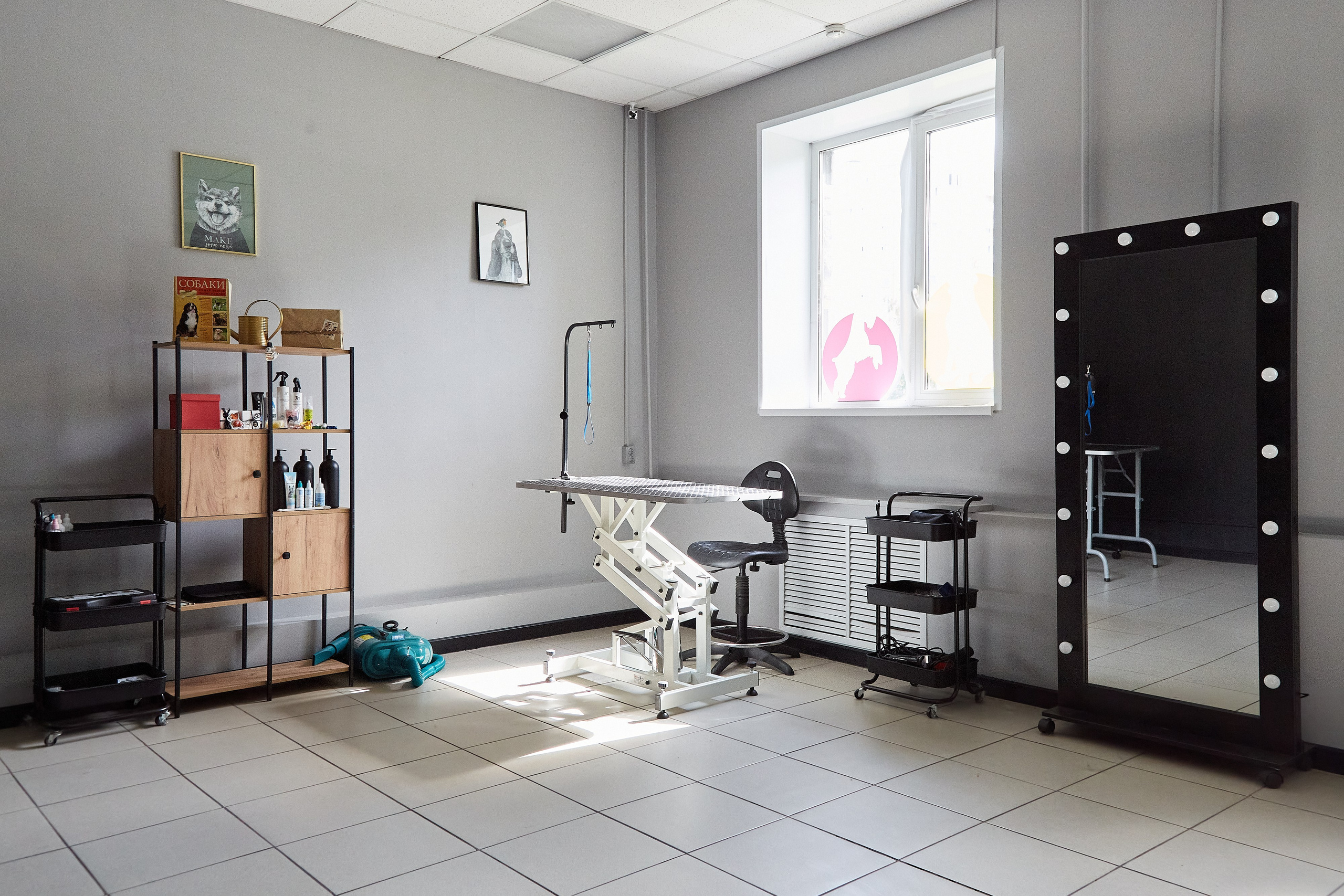 Зоопарикмахерская Avrora Groom. Фотограф Анастасия Леонтьева Санкт-Петербург