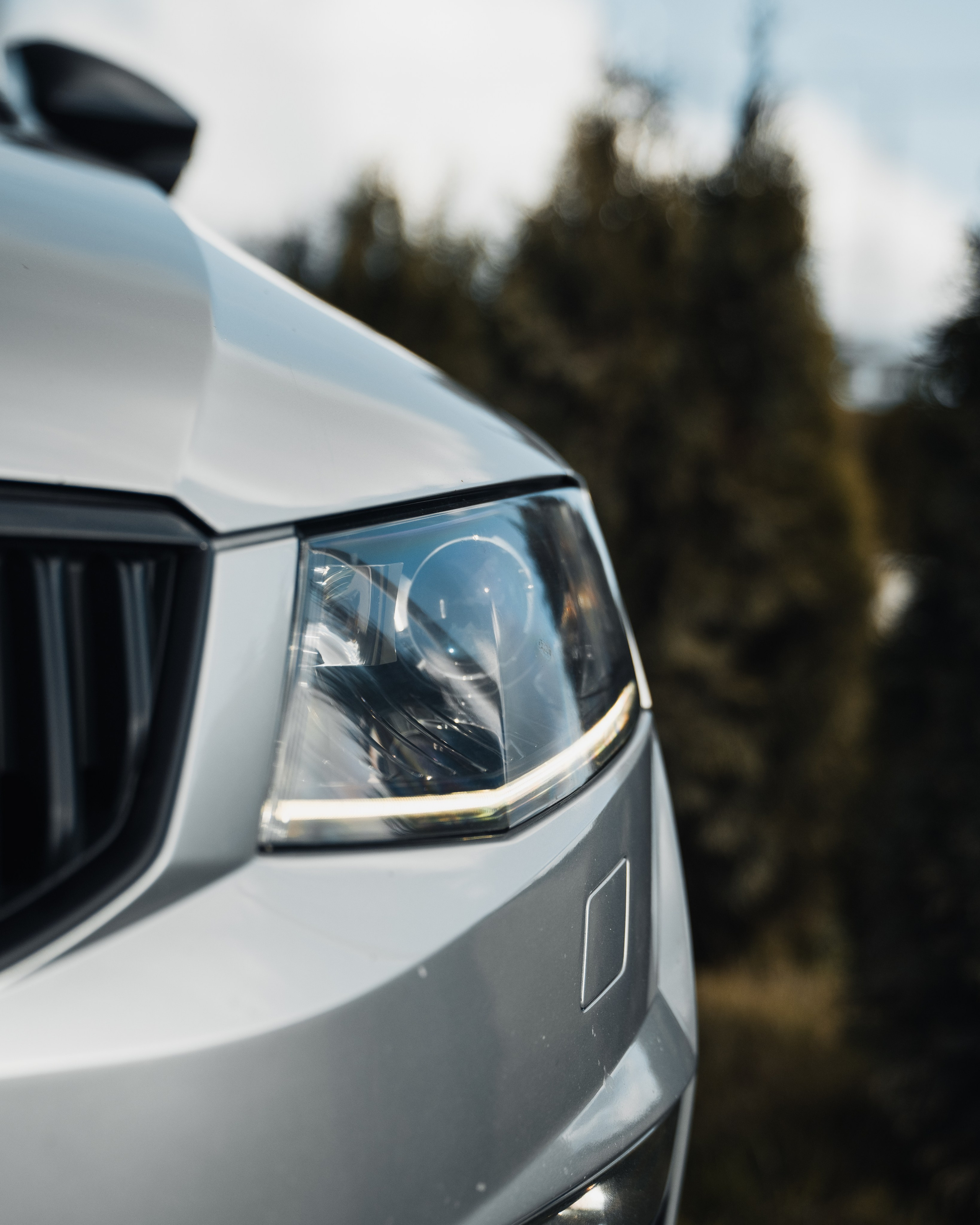 Skoda Octavia A7 VRS v3.0. Vlad Trykov