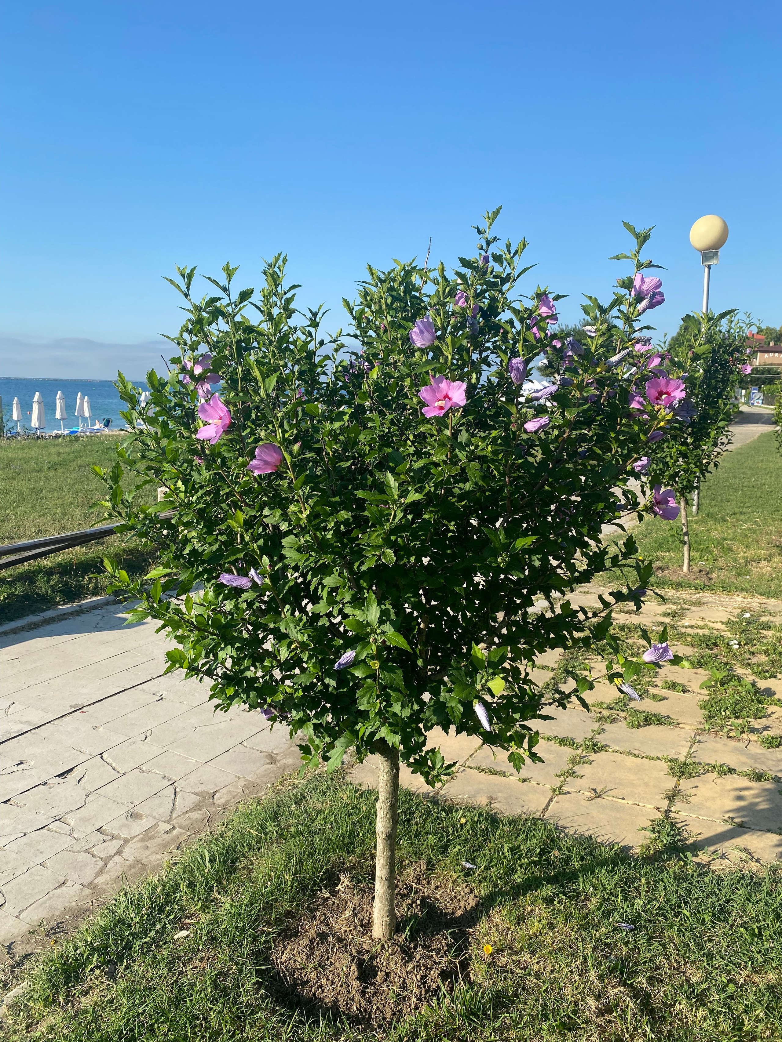 Равда, Несебр — 21. Своя Мастерская