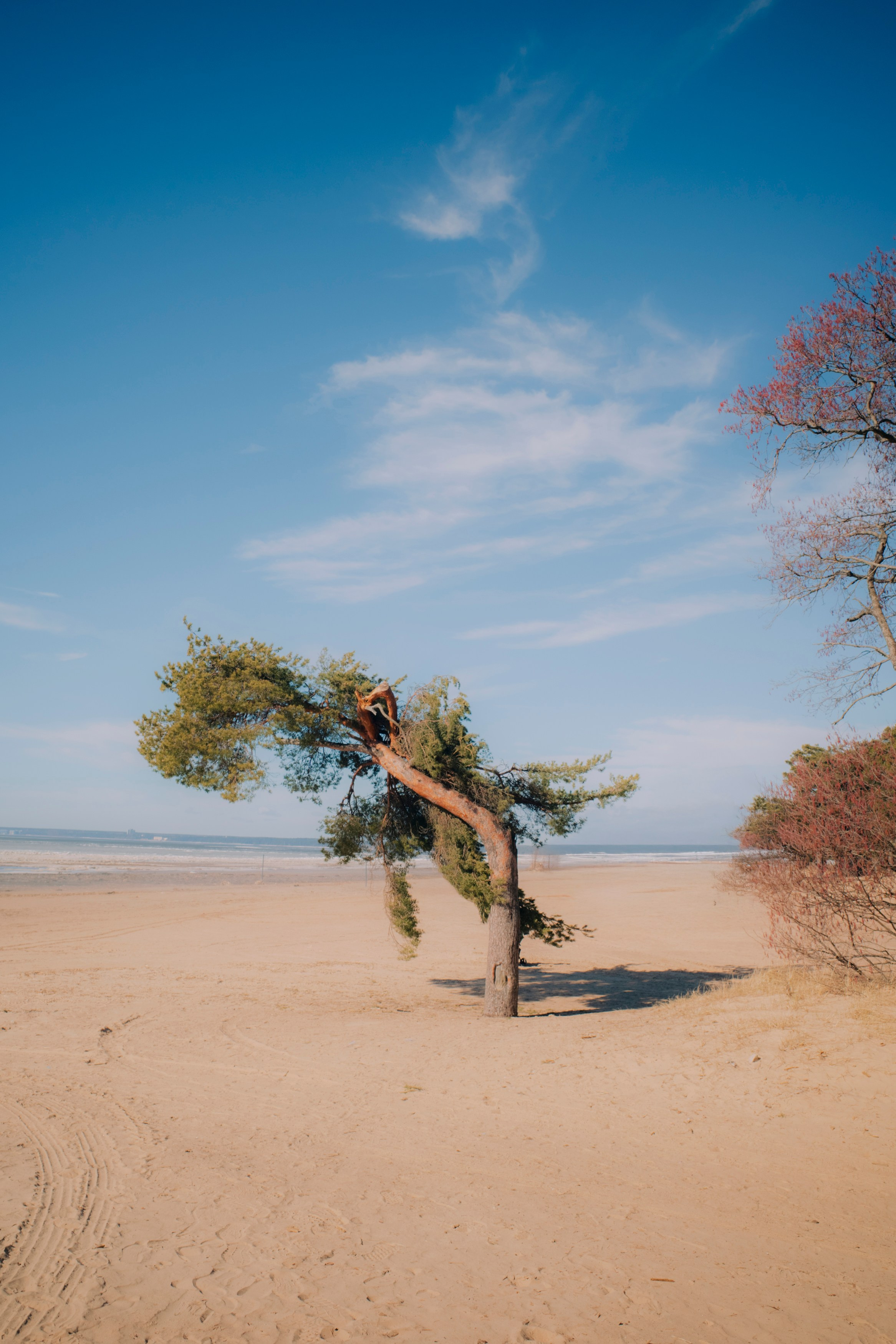STREET. Портретный и репортажный фотограф в Санкт-Петербурге Максим Пашков