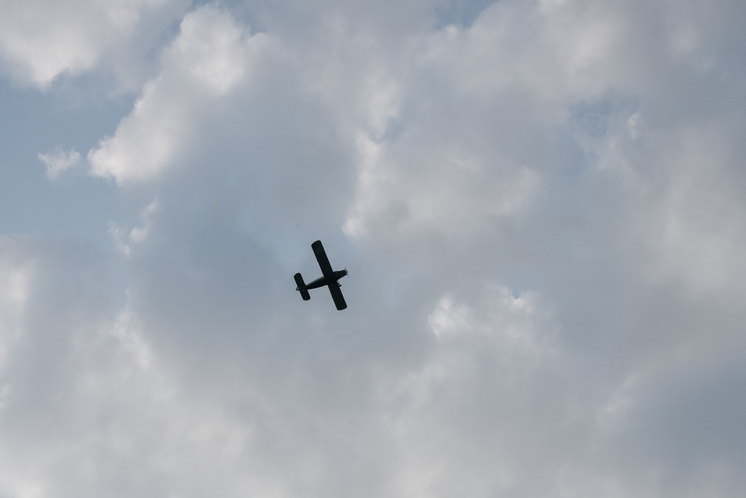 Контакты. Свадебный и портретный фотограф на Алтае Кузнецова Людмила