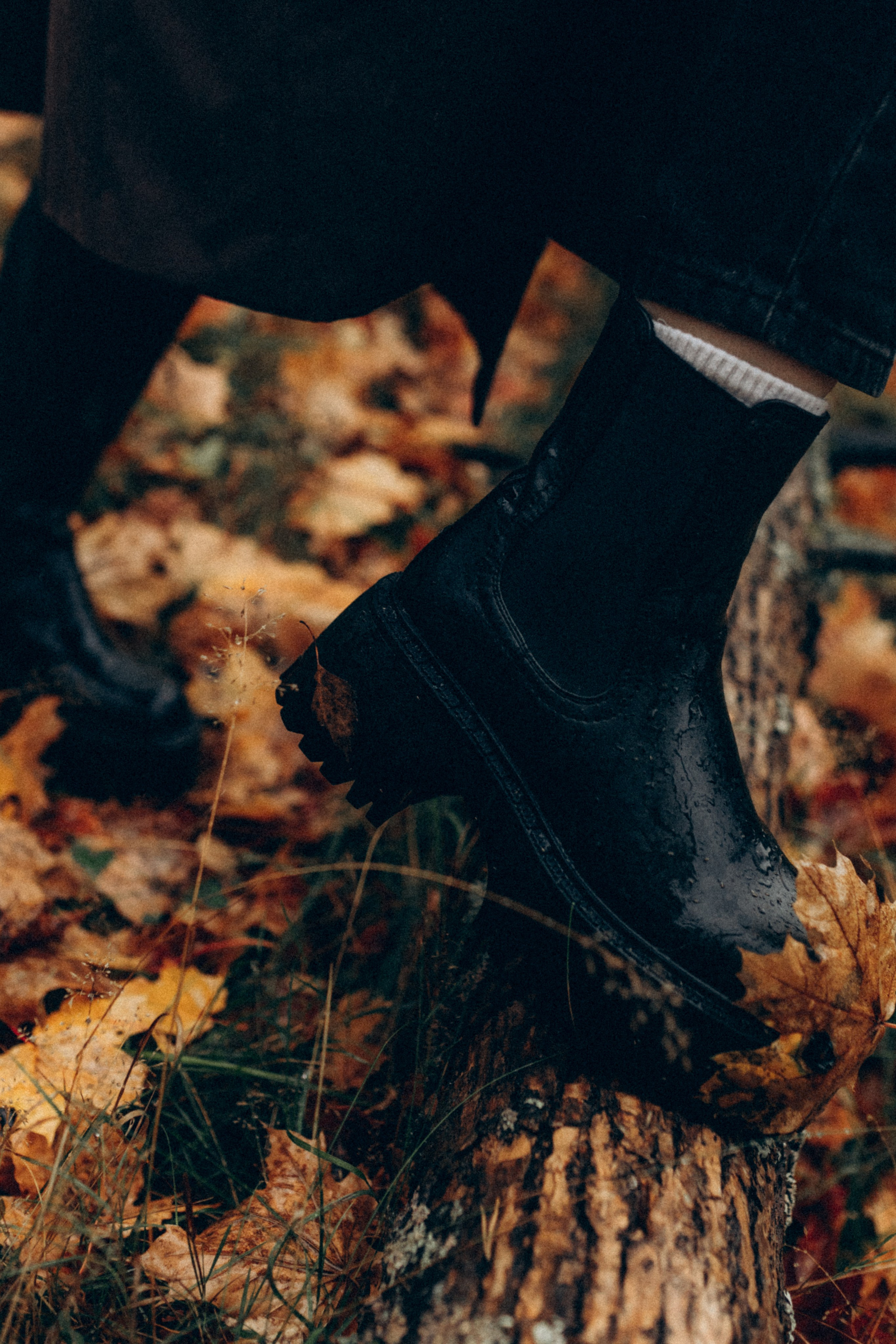 Анфиса & Нисма. Фотограф НОГИНСК, Москва, Анастасия Белая