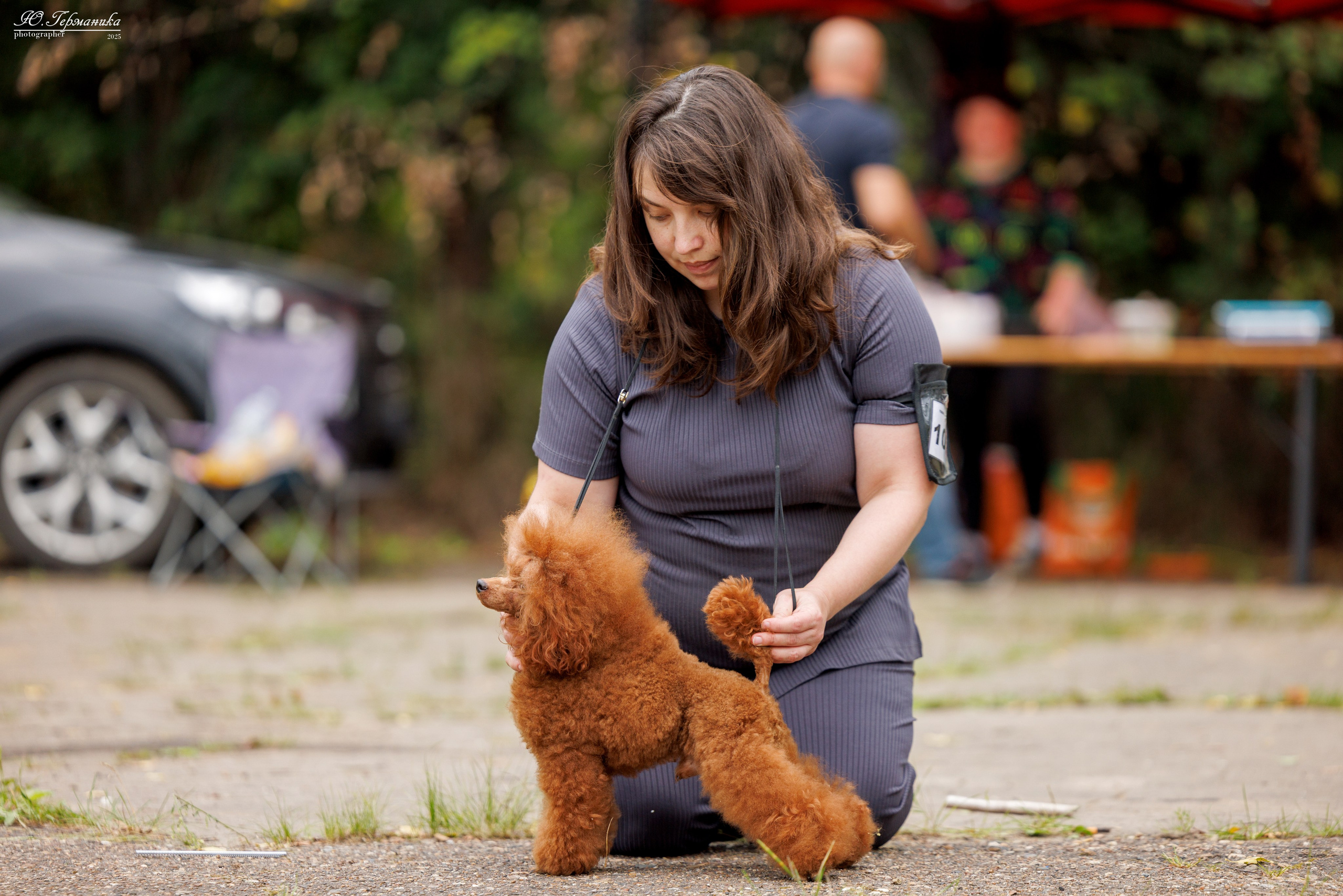 Тверь 10.08.2025. Фотограф-анималист Юлия Германика