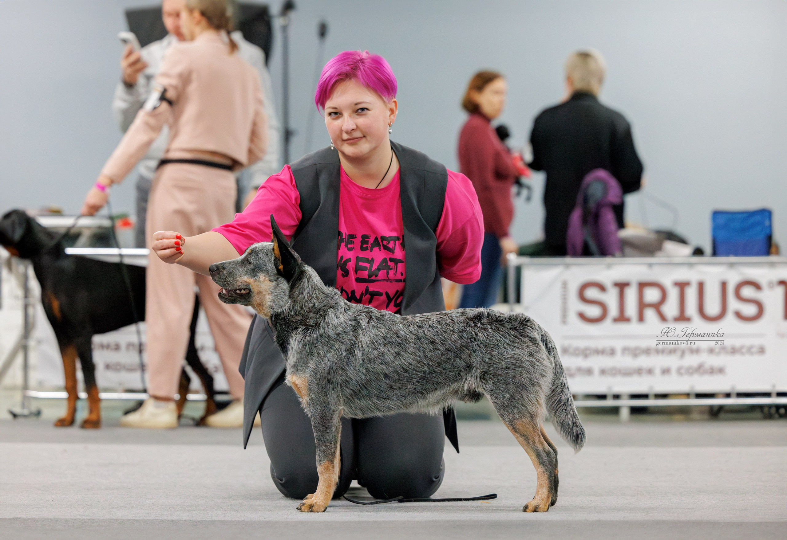 Сфера и Крокус 8,9,16 и 30.03.2025. Фотограф-анималист Юлия Германика