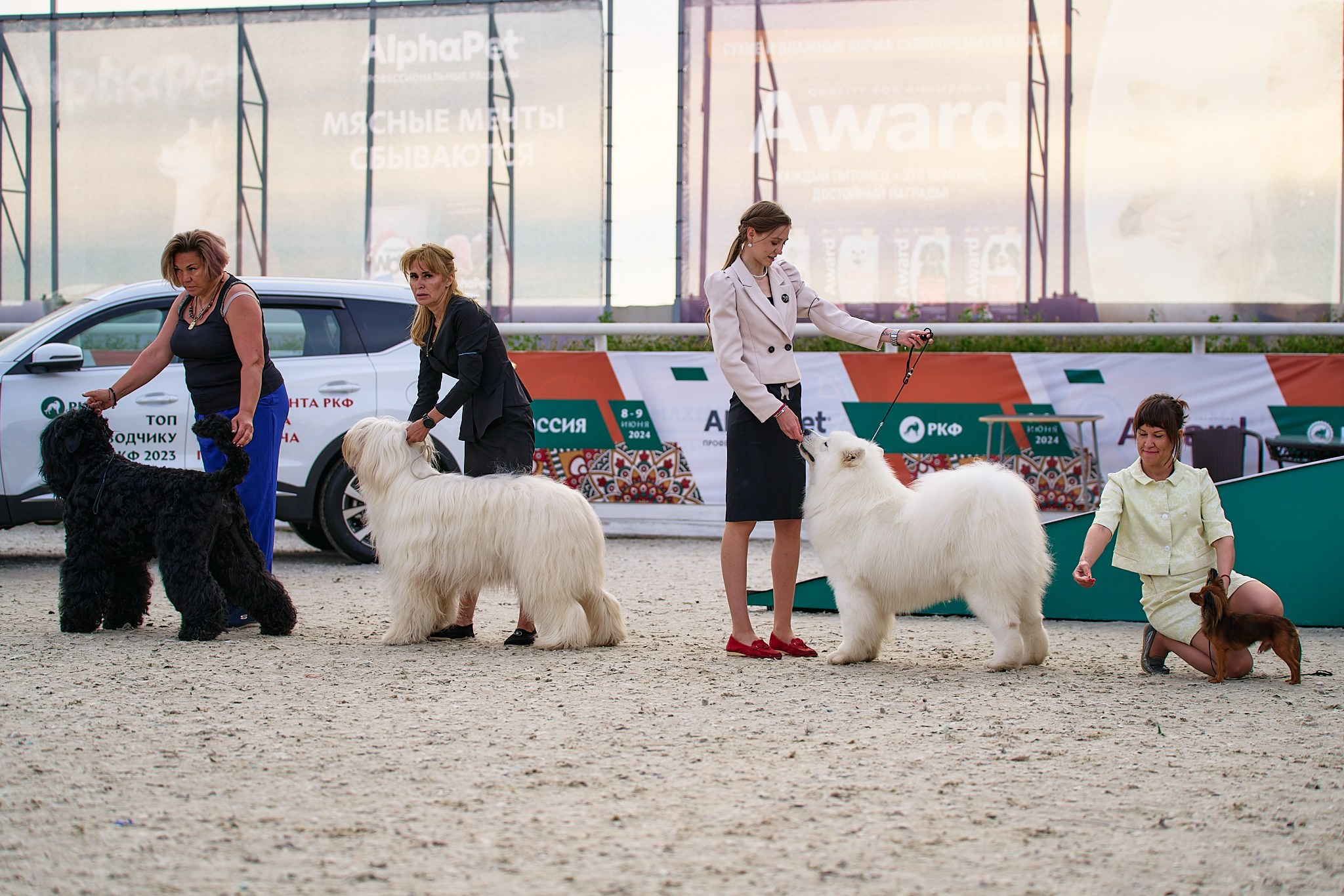 09.06.2024, «РОССИЯ. КУБОК МОСКВЫ 2024 & КУБОК ГОРОДОВ-ГЕРОЕВ»