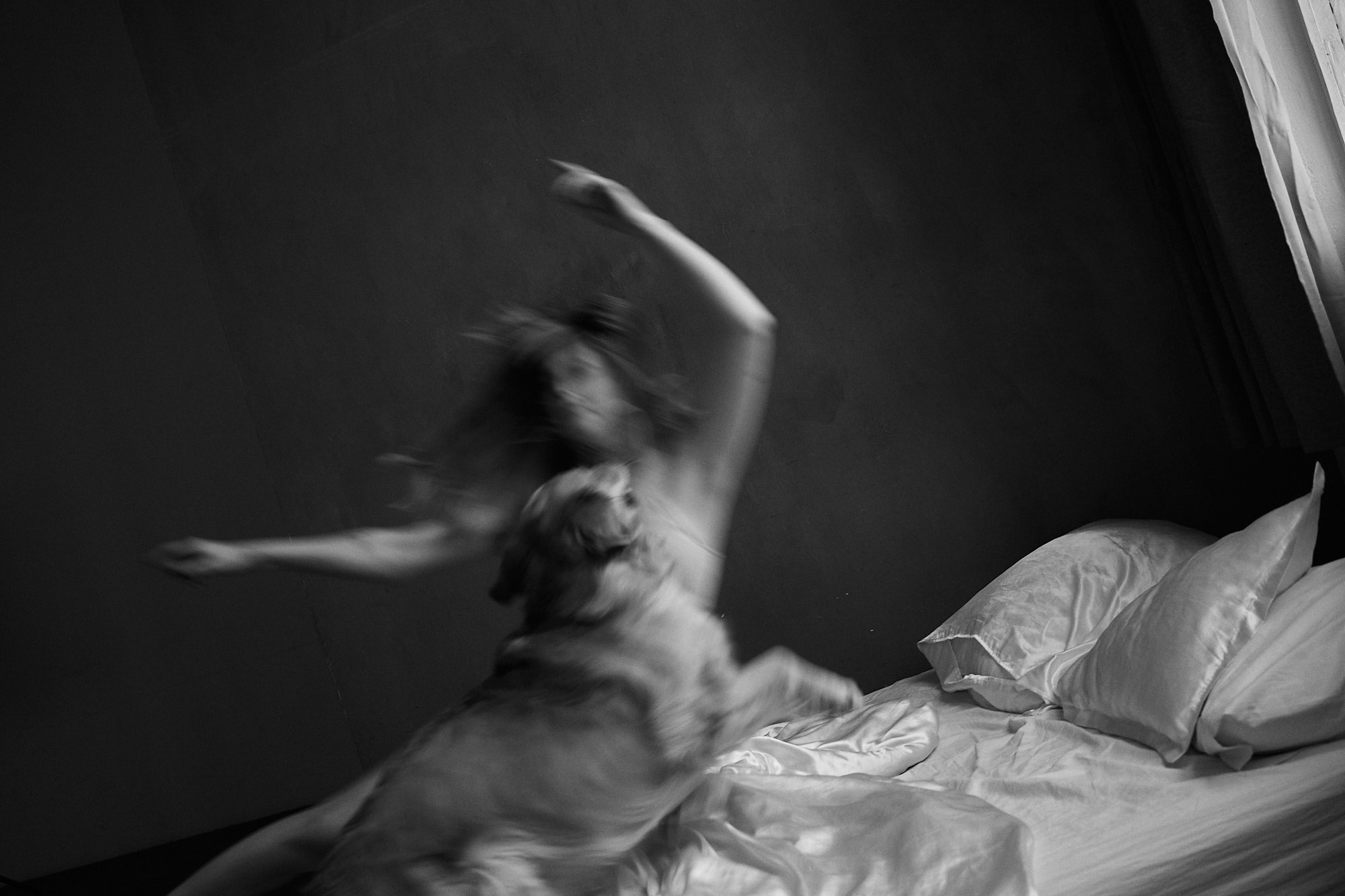 Алия и Пенни. Фотограф анималист Москва Дарья