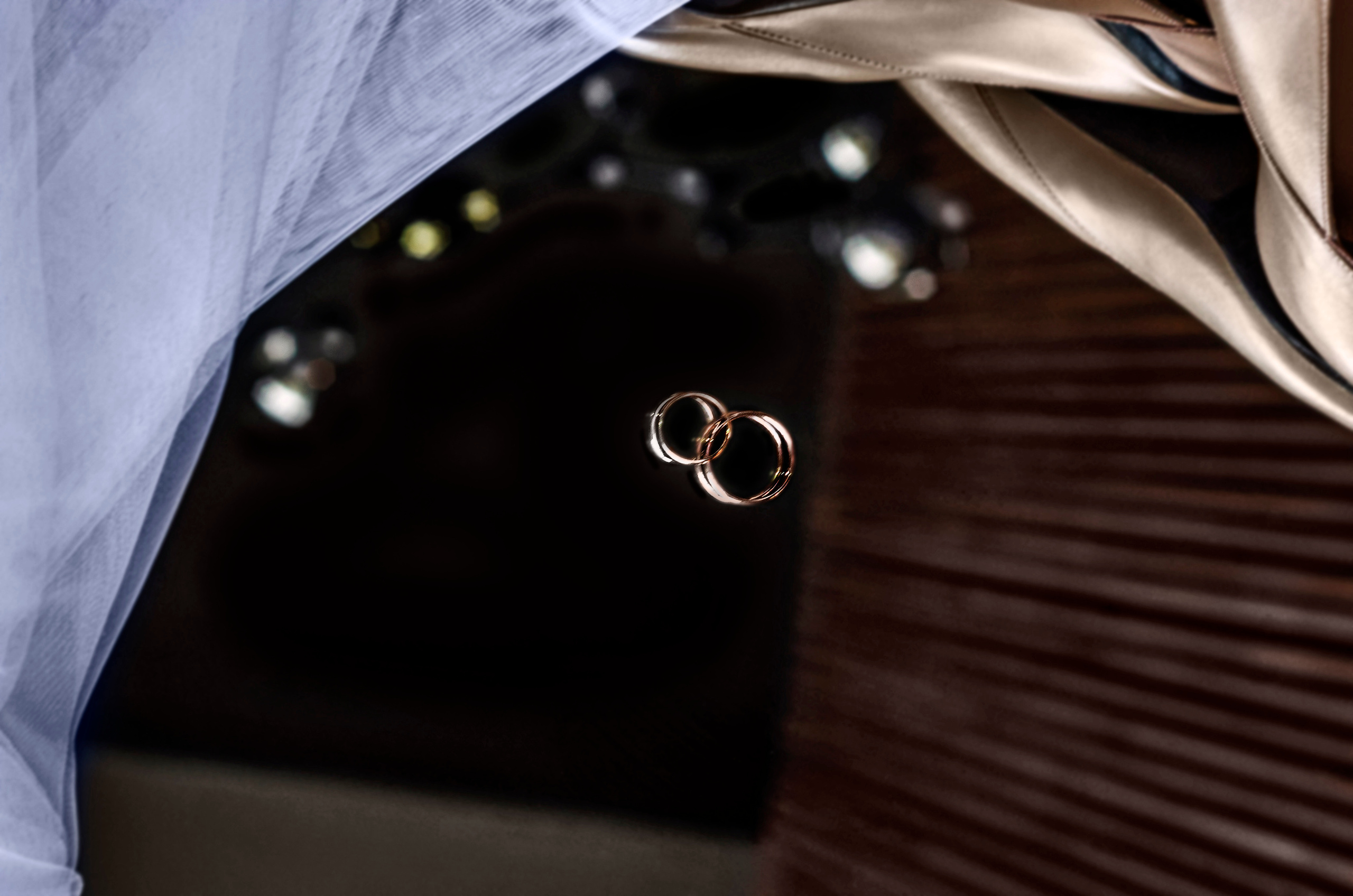 Свадебная съёмка в ЗАГСе и студии. Фотографы для фотосессий в Новосибирске