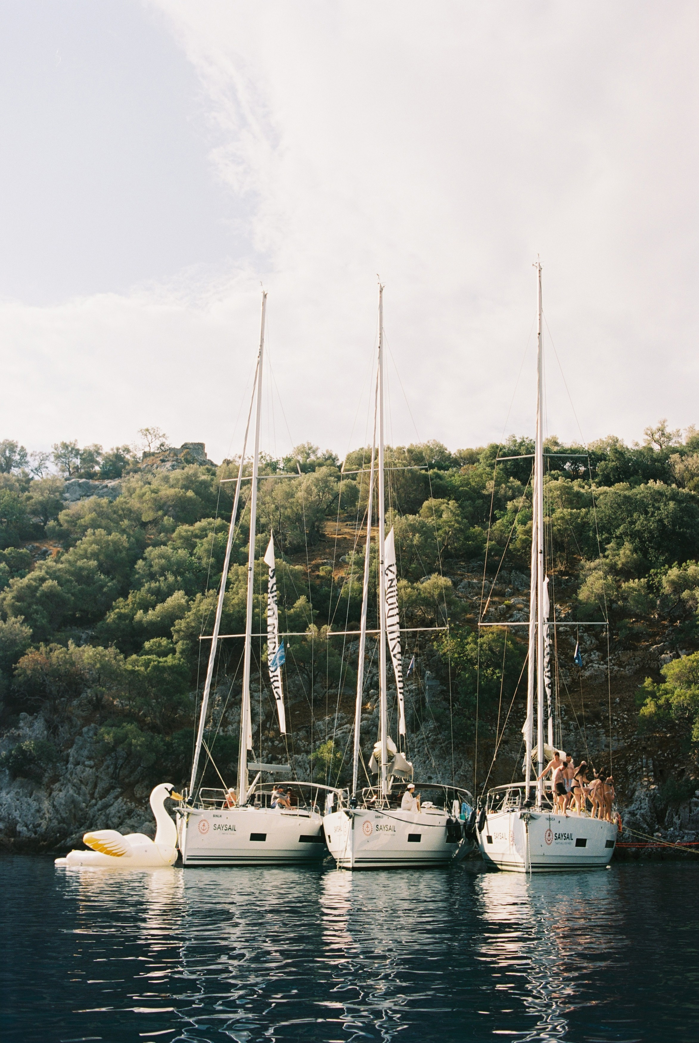 Wedding Regata. Sasha&Karina Photographers