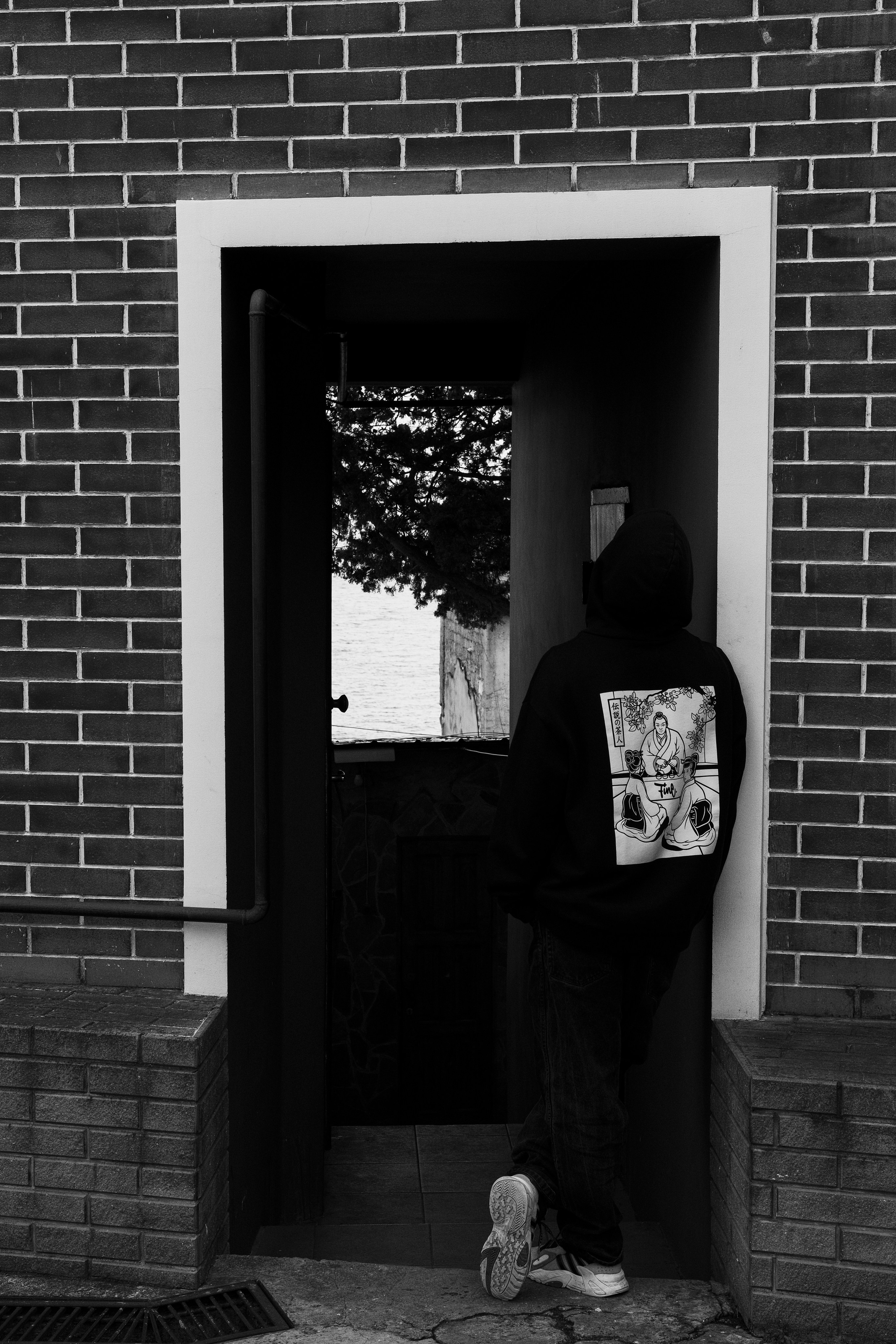 Fine & Summer Jam. Фотограф, видеограф в Санкт-Петербурге