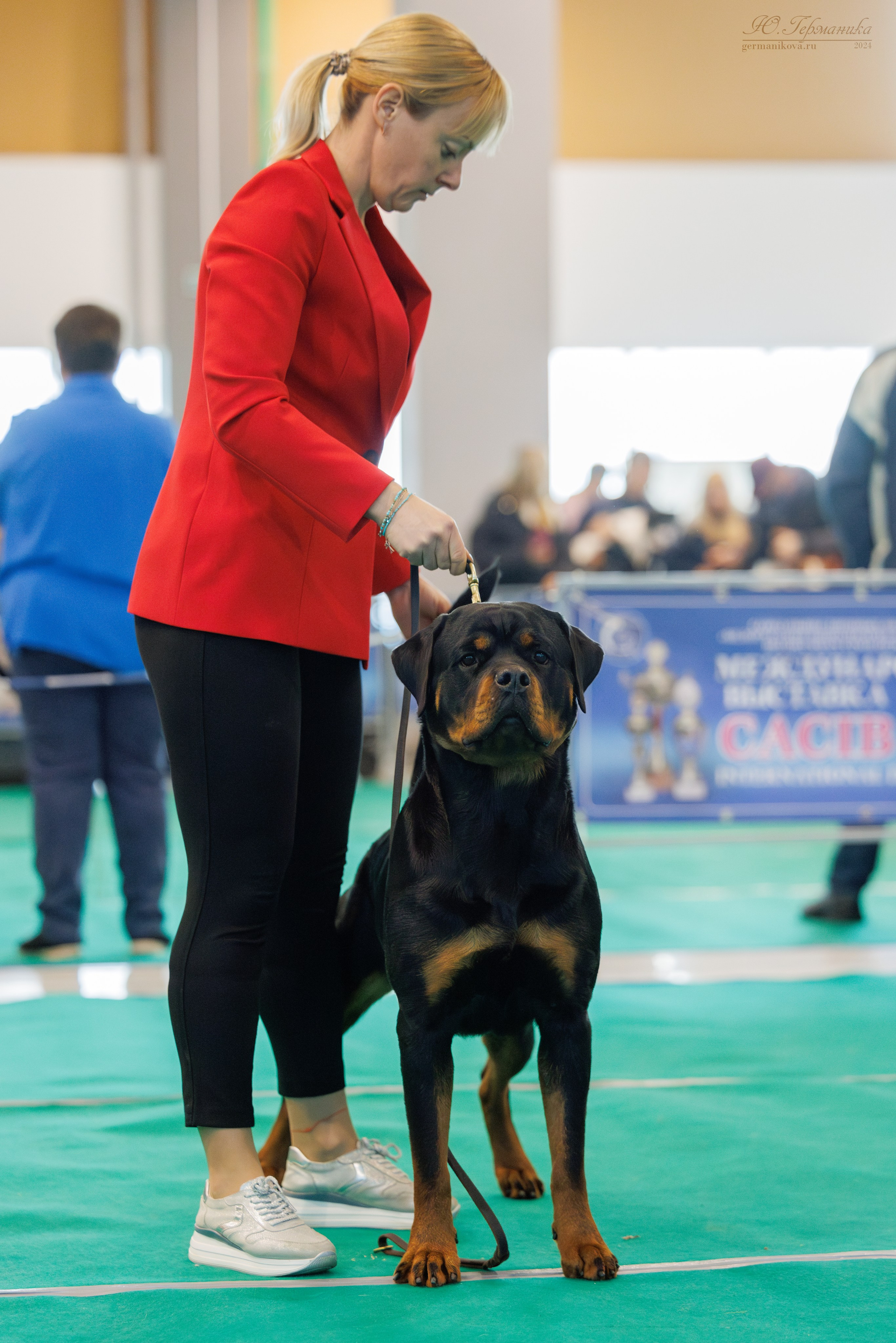 Минск 23.11.2024. Фотограф-анималист Юлия Германика