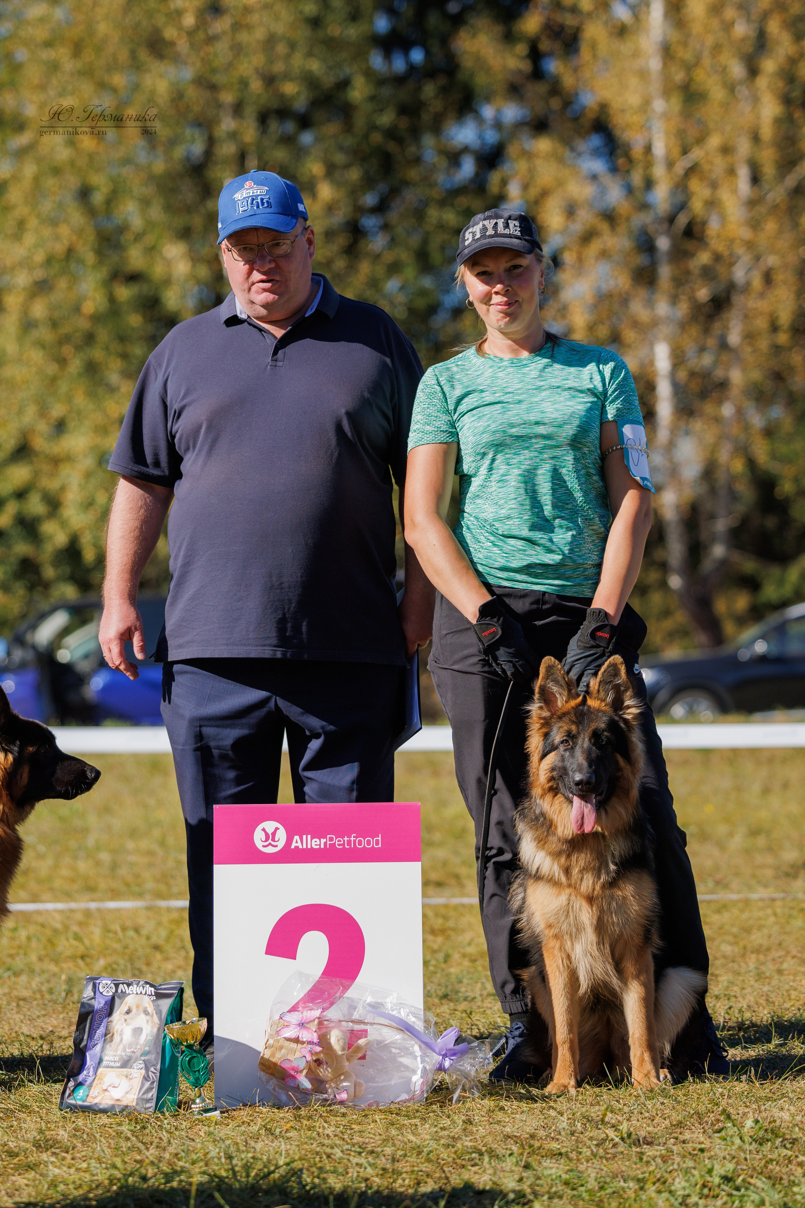 Тверь немецкие овчарки 22.09.2024. Фотограф-анималист Юлия Германика