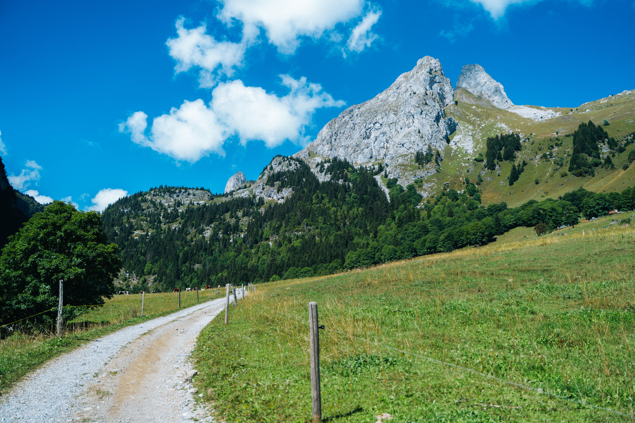 Swiss Landscape Photographer | Geneva, Alps & Lake Geneva - Tanya. Professional Wedding Photographer Geneva & Romande Switzerland | Tanya Creator