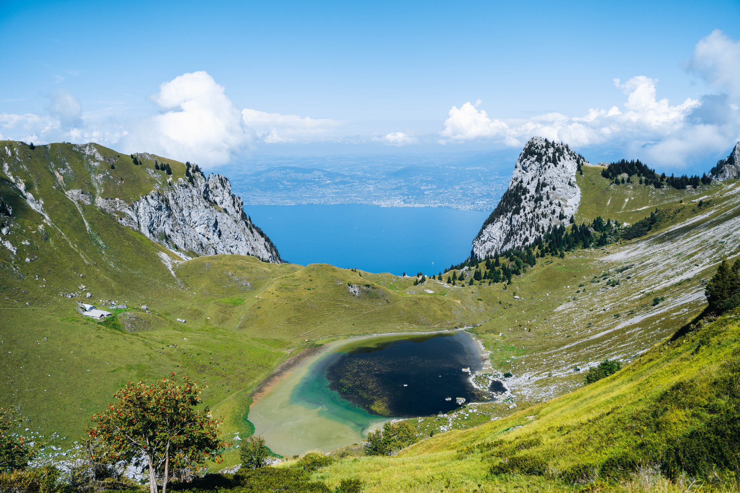 Swiss Landscape Photographer | Geneva, Alps & Lake Geneva - Tanya. Professional Wedding Photographer Geneva & Romande Switzerland | Tanya Creator