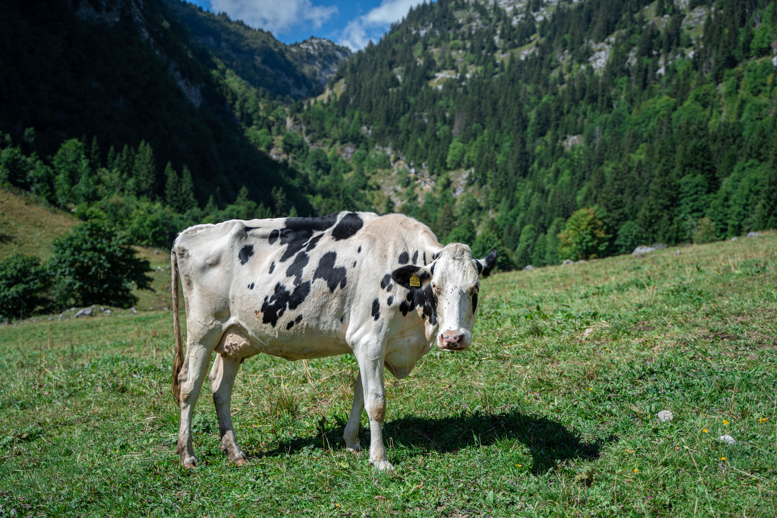 Swiss Landscape Photographer | Geneva, Alps & Lake Geneva - Tanya. Professional Wedding Photographer Geneva & Romande Switzerland | Tanya Creator