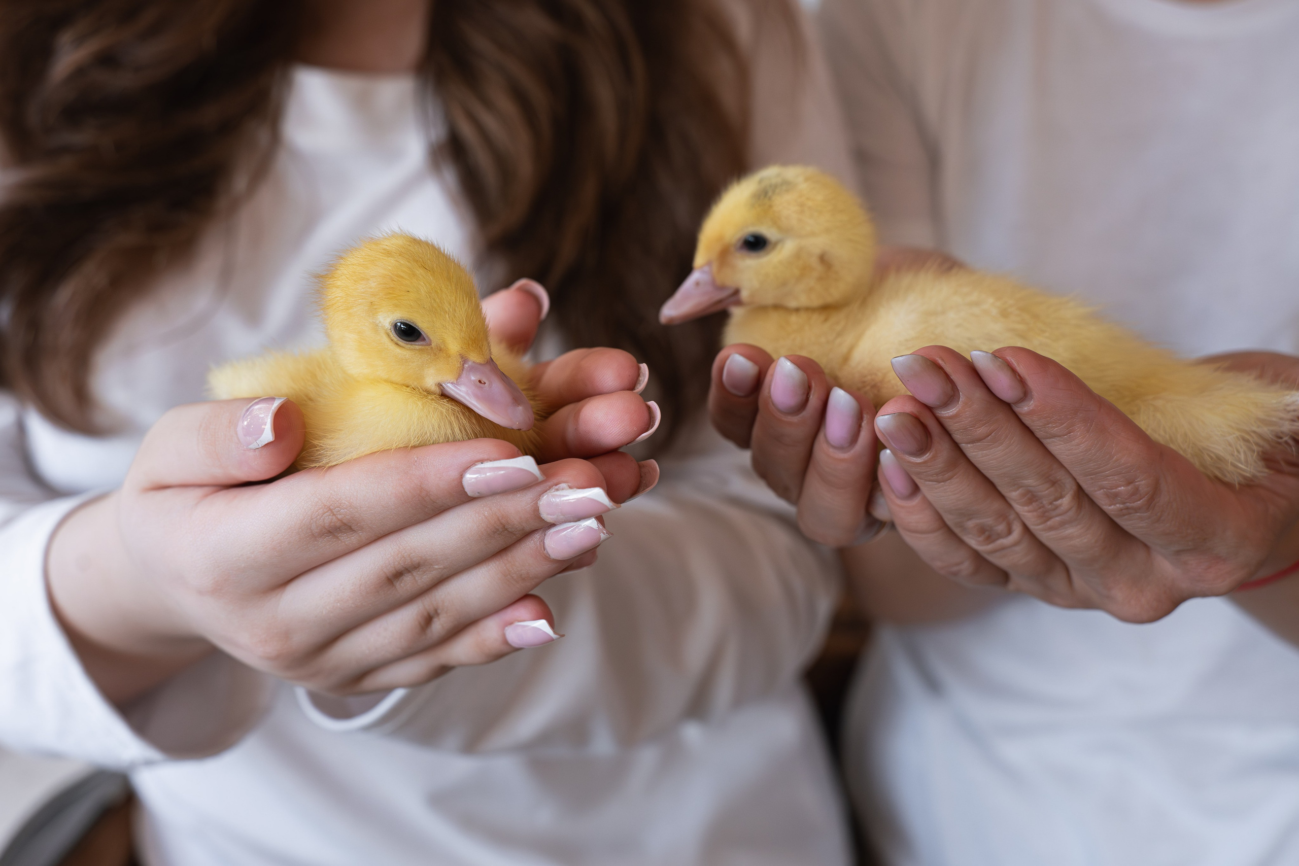 Семейная с уточками. Свадебный и семейный фотограф в Москве и МО (Фрязино, Королёв, Коломна) Макеева Алёна