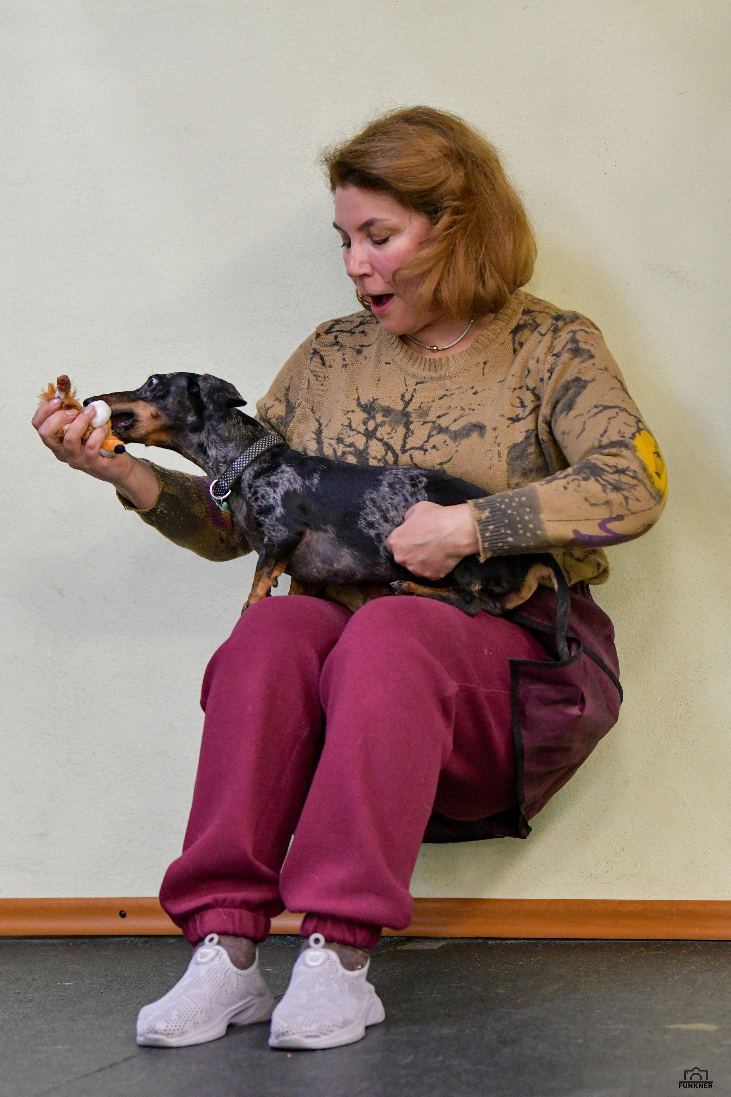 Кинологический клуб «Бодрый хвост». Свой взгляд через объектив