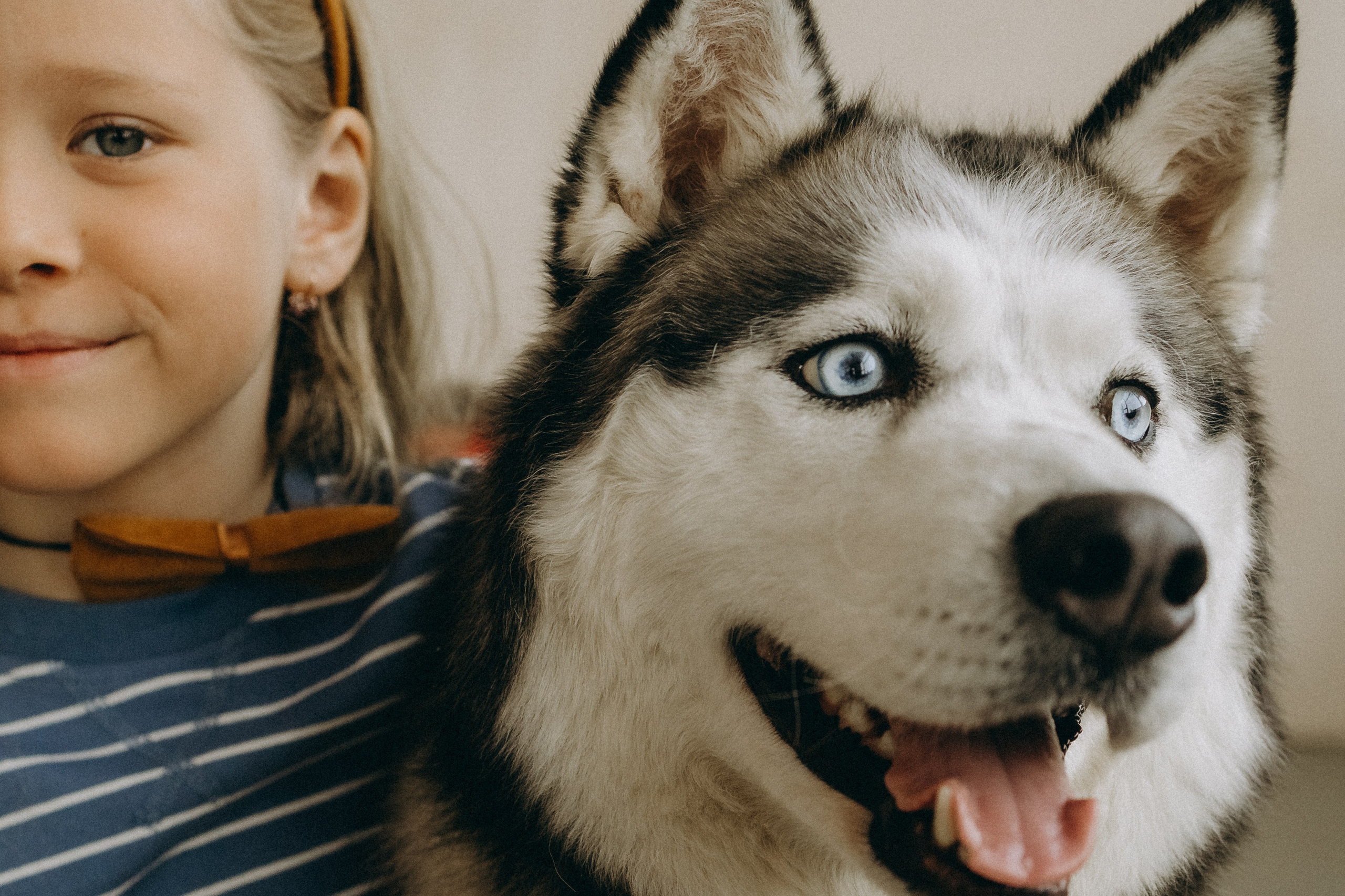 Катя, Лида, Вольт. Главная