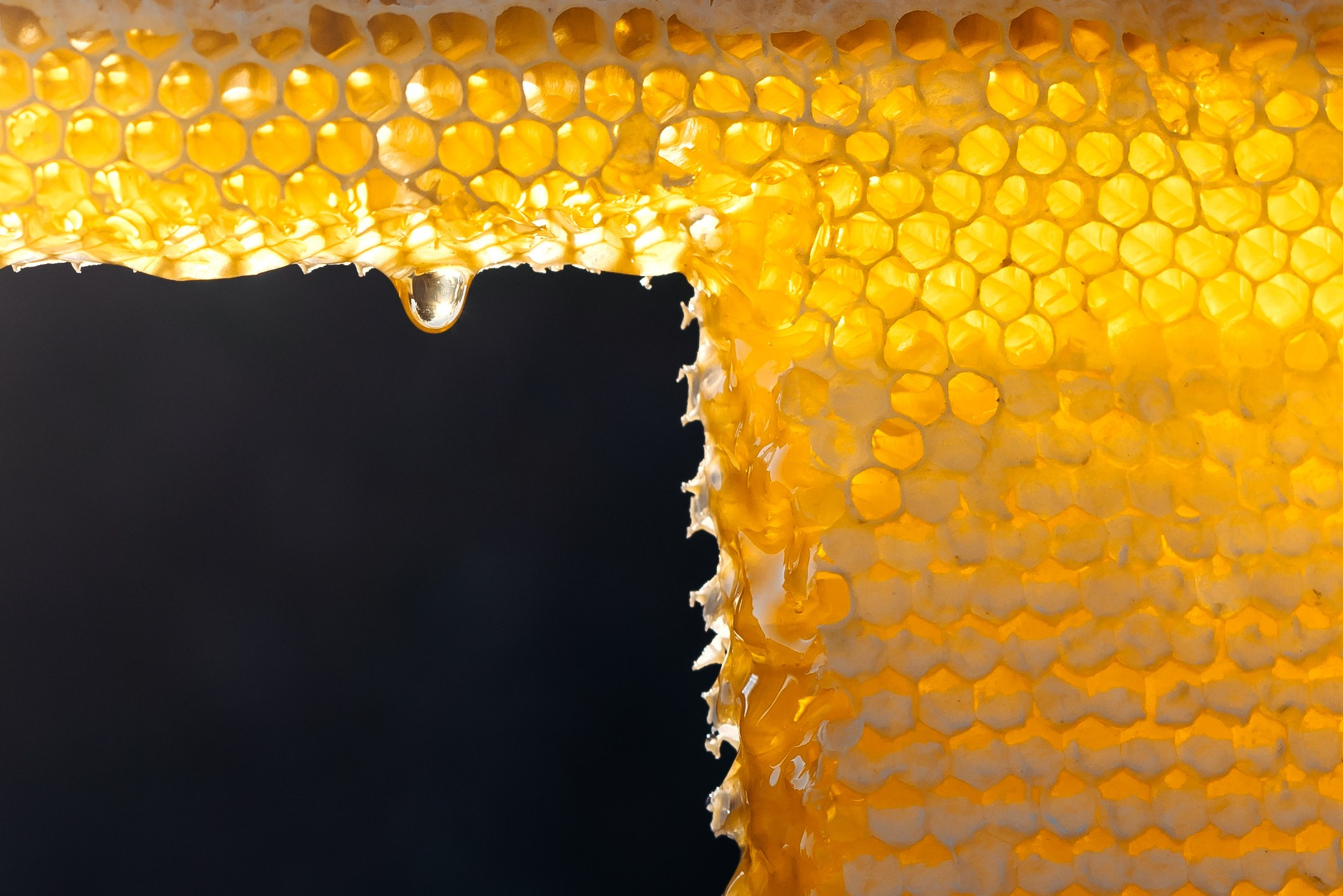 Контент фотосессия для частной пасеки. Свадебный и семейный фотограф в Краснодарском крае Мария Данилкина