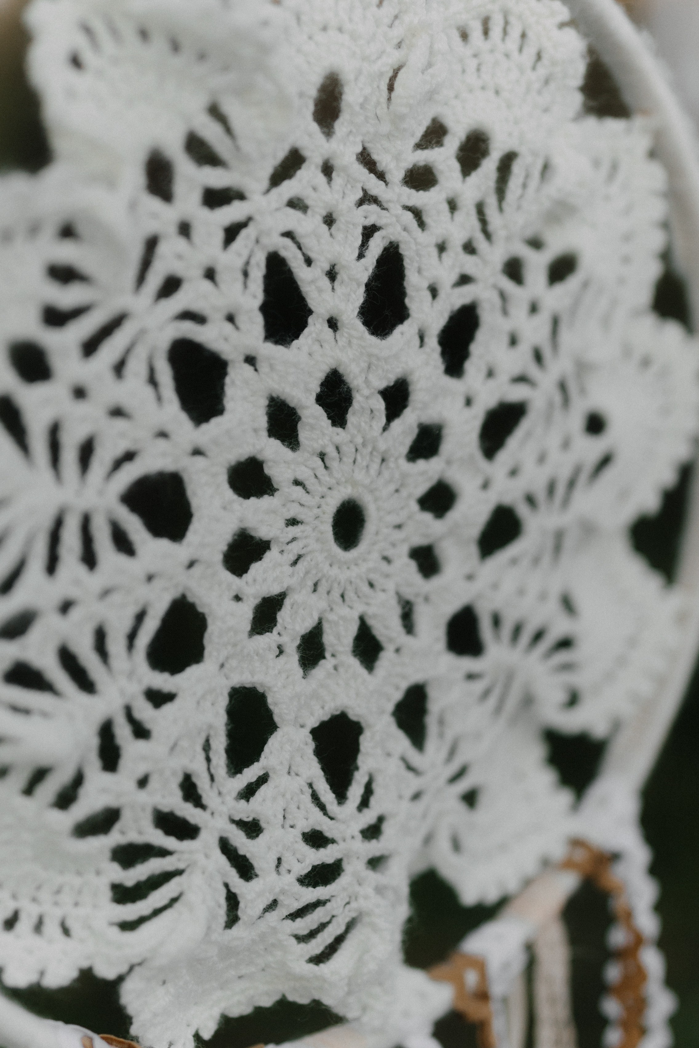 Каролина. Ланемец Юлия — фотограф Волгоград/Волжский