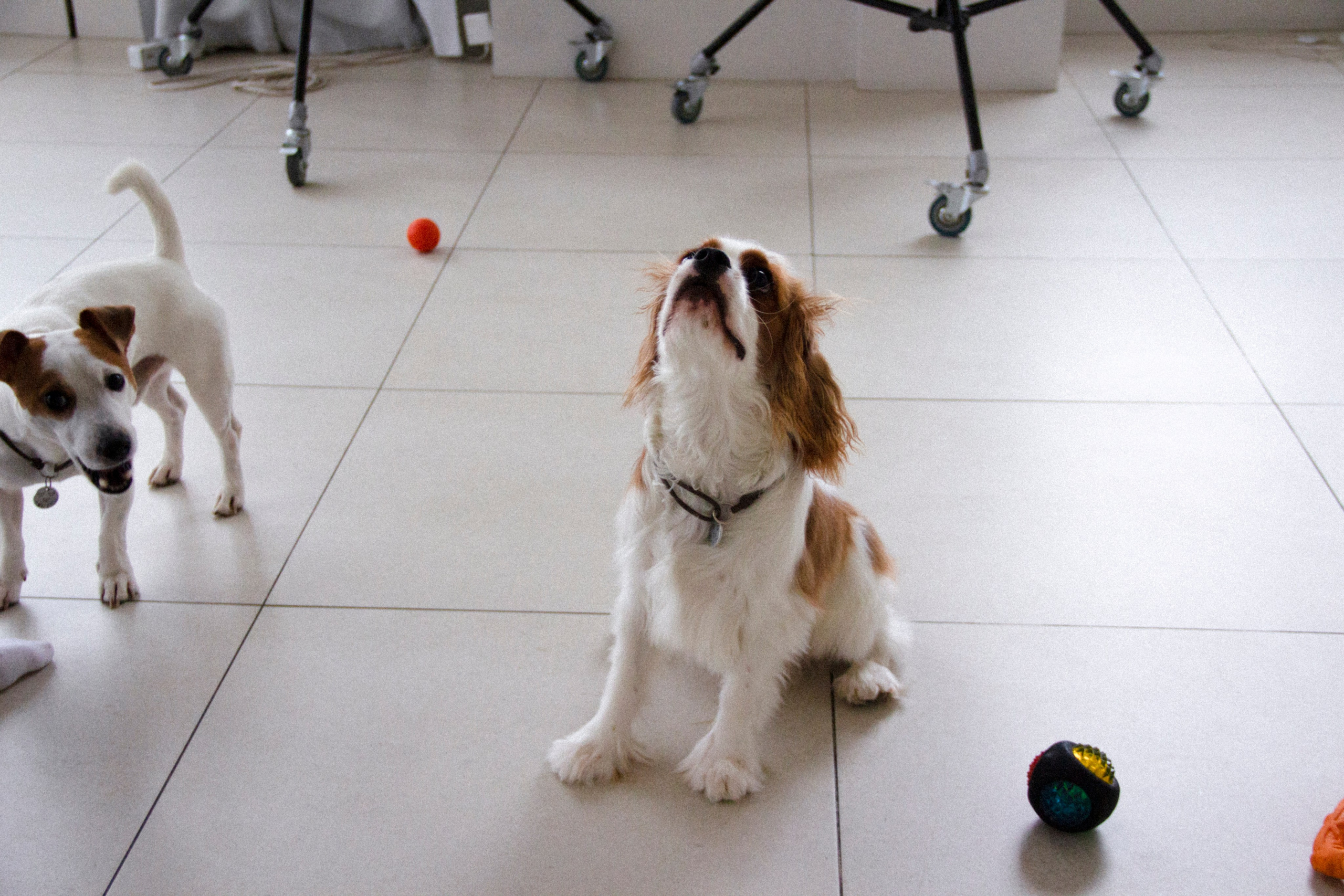 Валерия и Алексей. Фотограф в Санкт-Петербурге Смирнова Диана