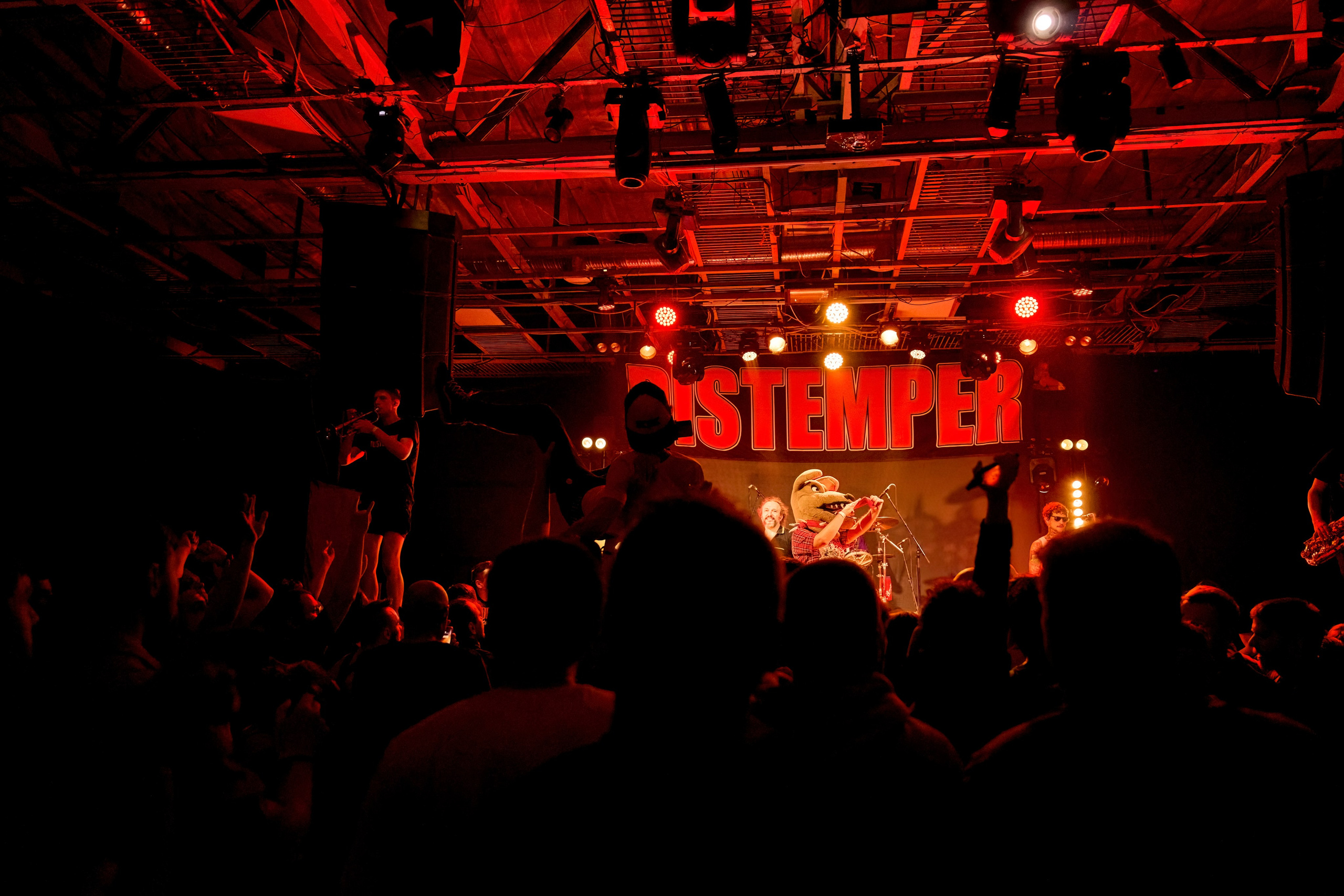 DISTEMPER / AGLOMERAT / 24.11.2023. Ekhovanov | фото- видеосъемка