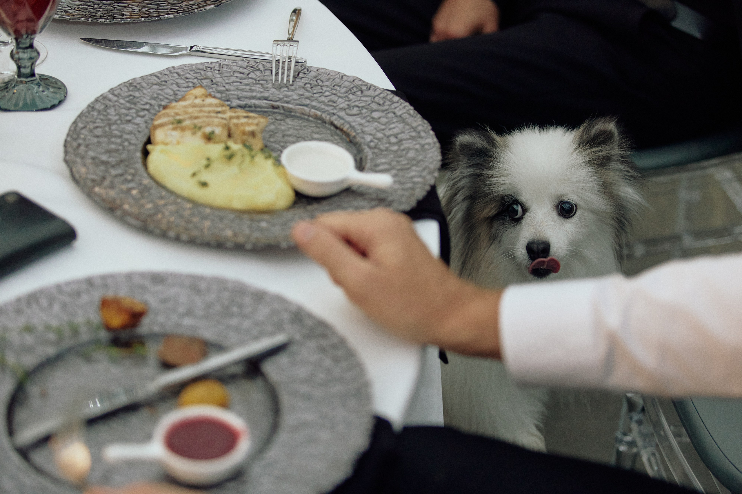 Rustam & Anastasia. Event агентство PAPRIKA в Екатеринбурге