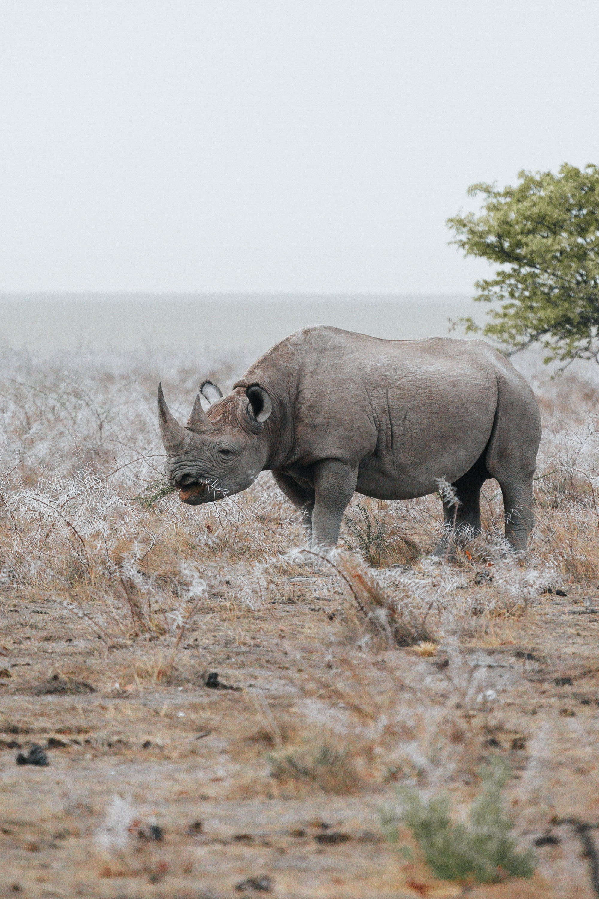 НАМИБИЯ. Роадтрип