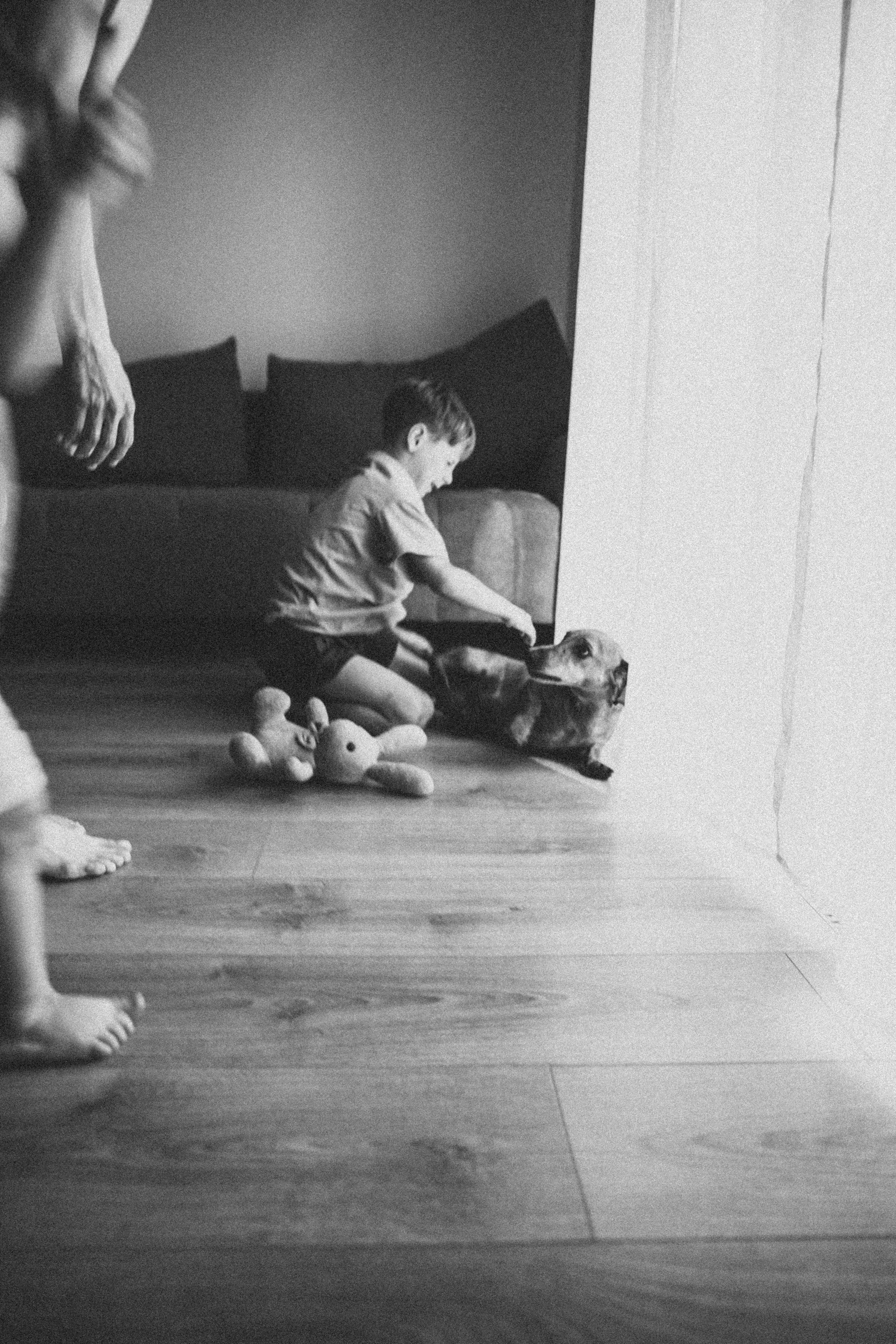 Саша Даня Илюша. Семейный фотограф в Краснодаре Анна Пасик