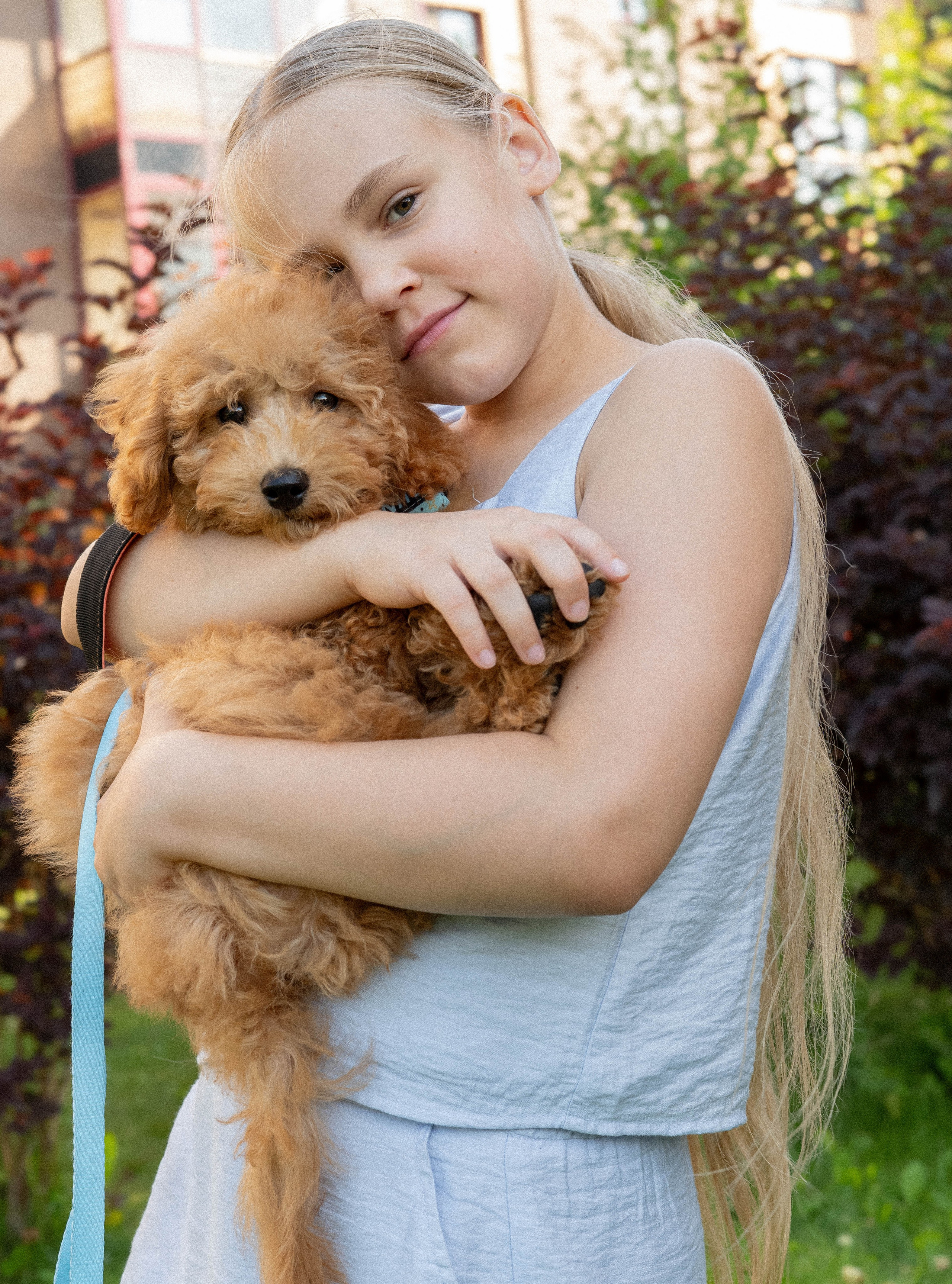 Прогулочная фотосессия Новосибирск Краснообск Love-story  фотосессия Новосибирск Краснообск