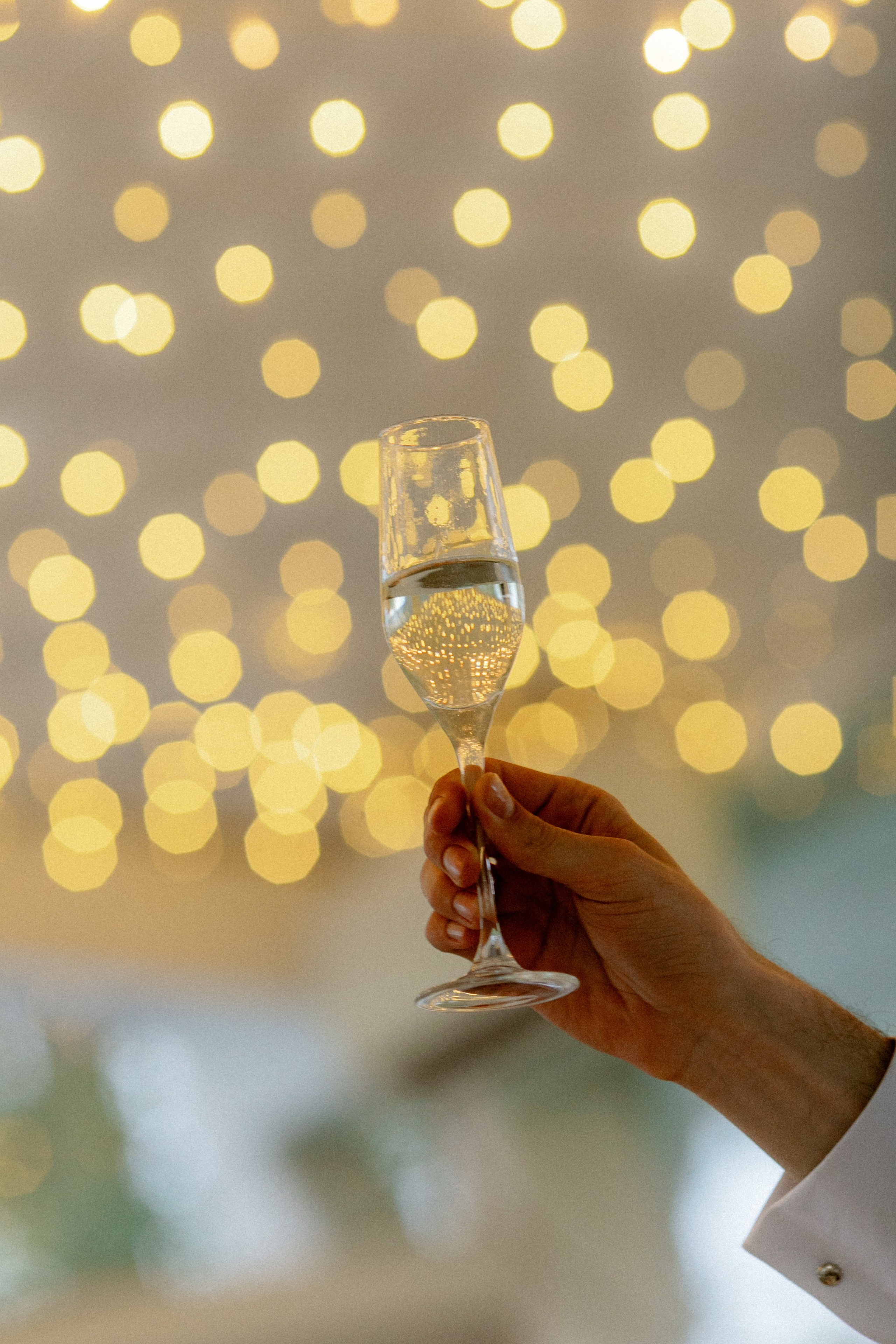 Dog Friendly. Свадебный и репортажный фотограф