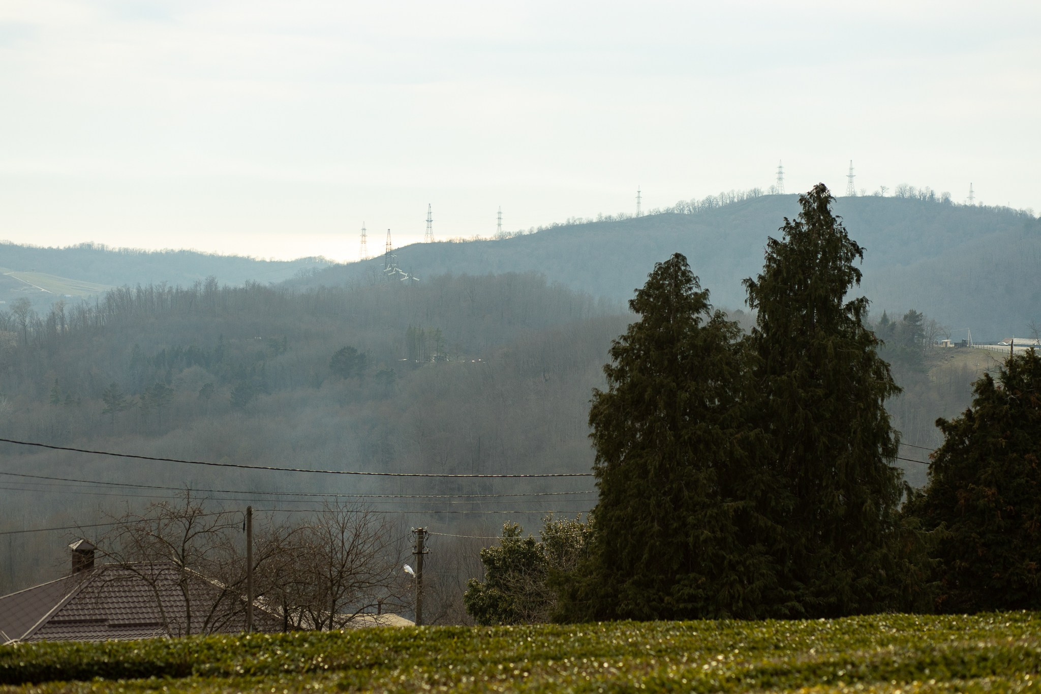 Свадебная история на природе: фотоальбом. Семейный и свадебный фотограф Ростове-на-Дону