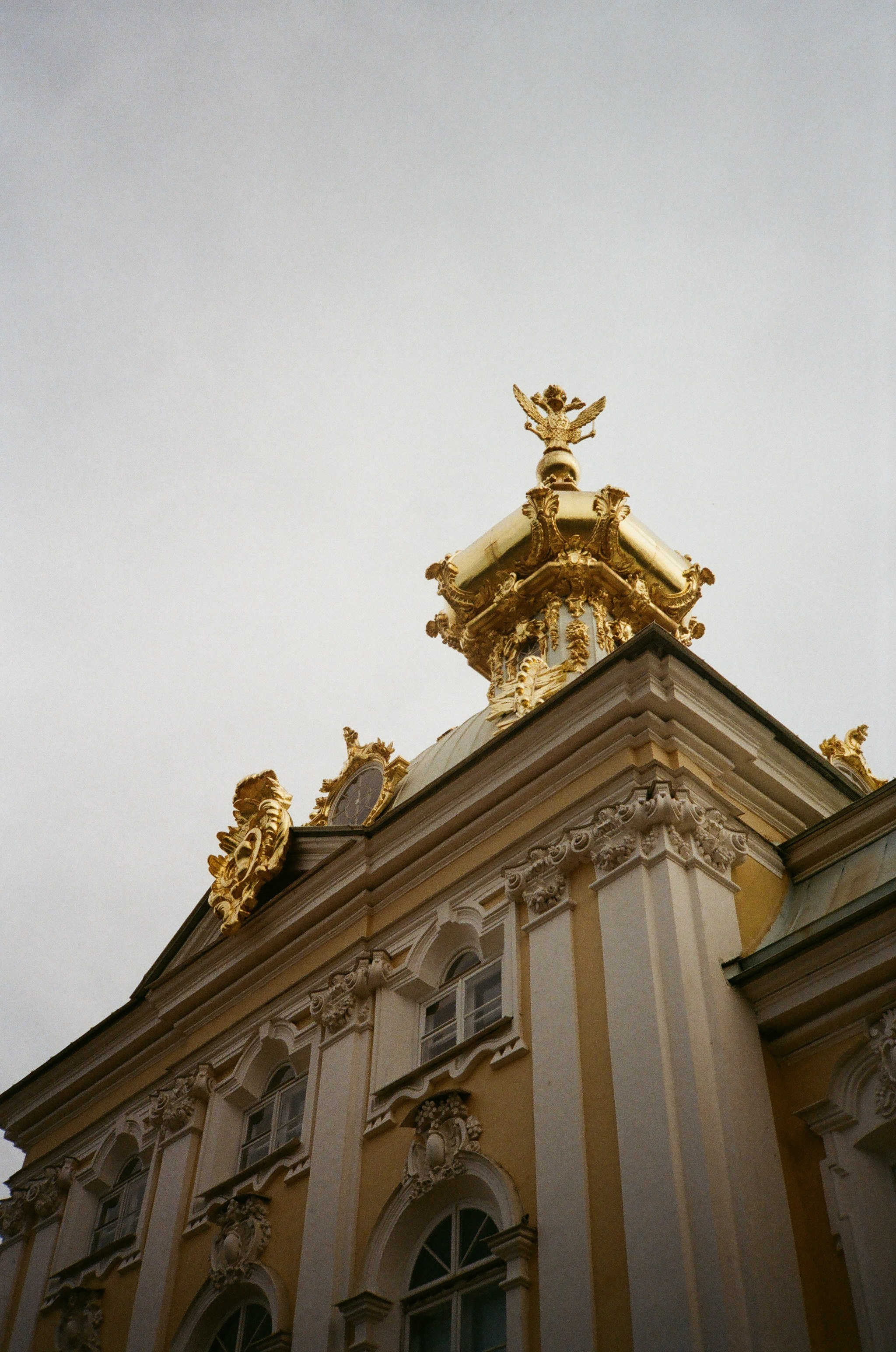 Please, Don't Leave. Pavlov Arts