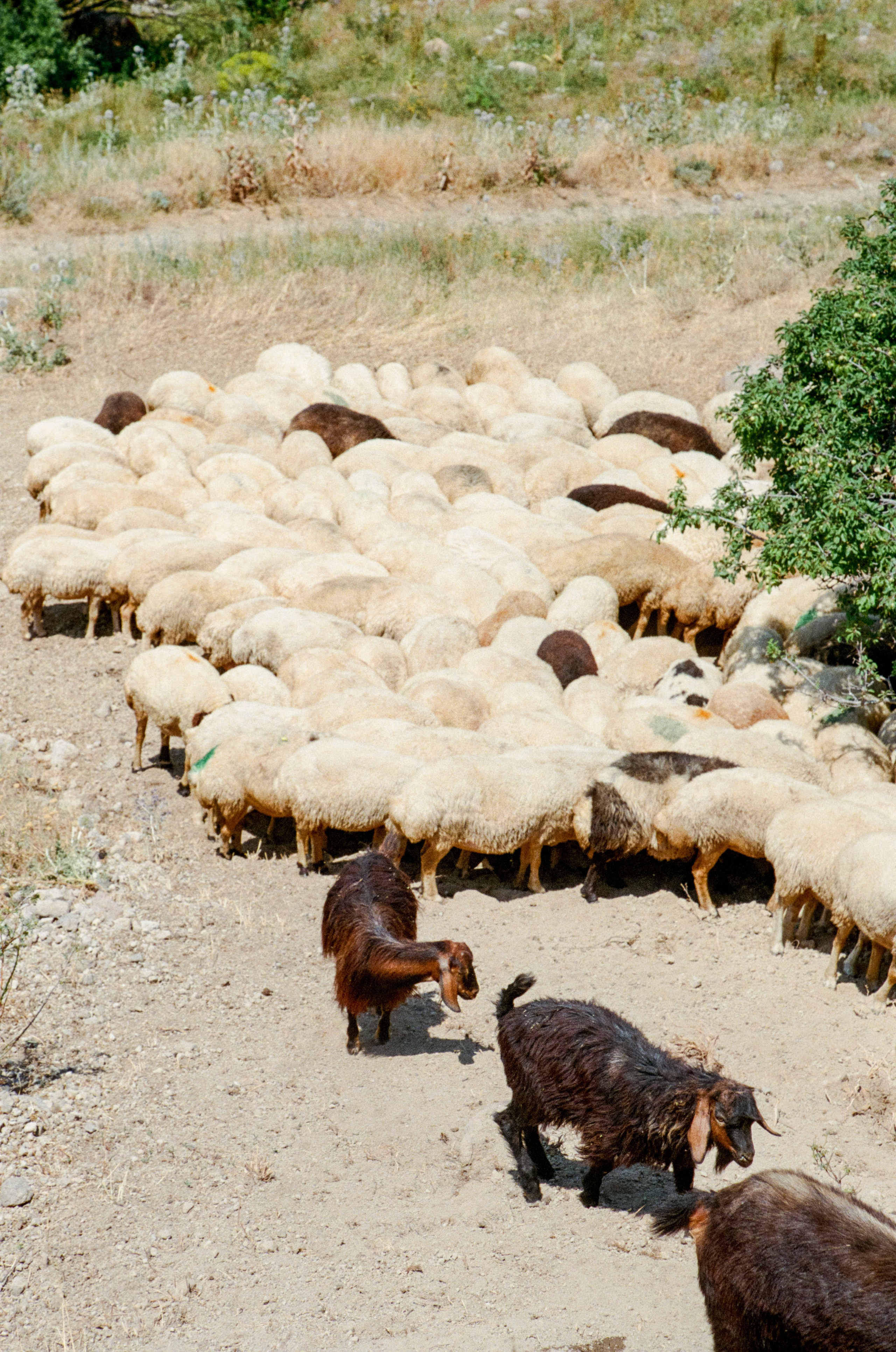 АРМЕНИЯ.24. Профессиональный фотограф Федотова Арина