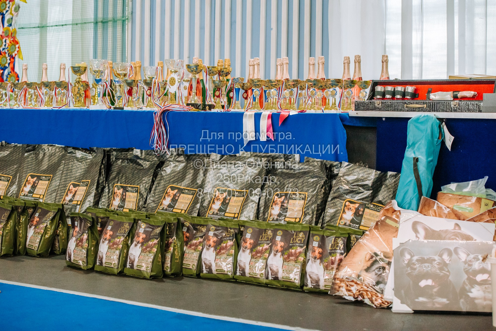 Национальная выставка собак всех пород ранга САС-IKU «Кубок Красноярск. Фотограф Диана Оленина Красноярск / Братск