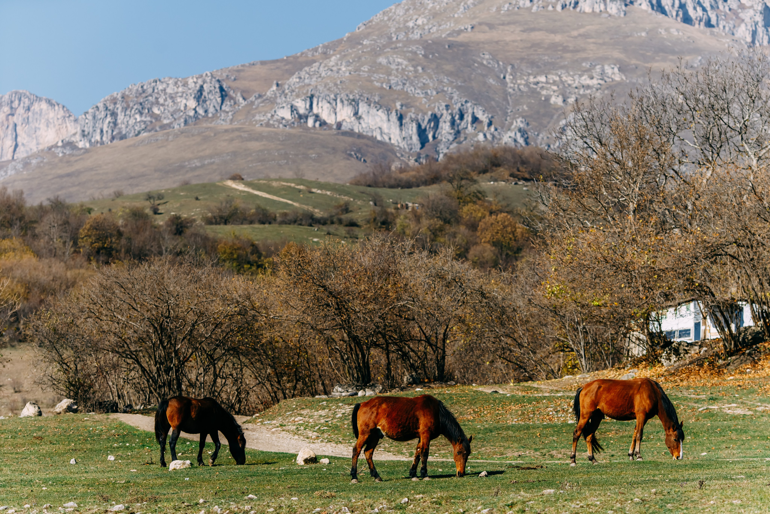 Армения. Фотосъемка, свадебная фотосъемка, Москва, Нижний Новгород